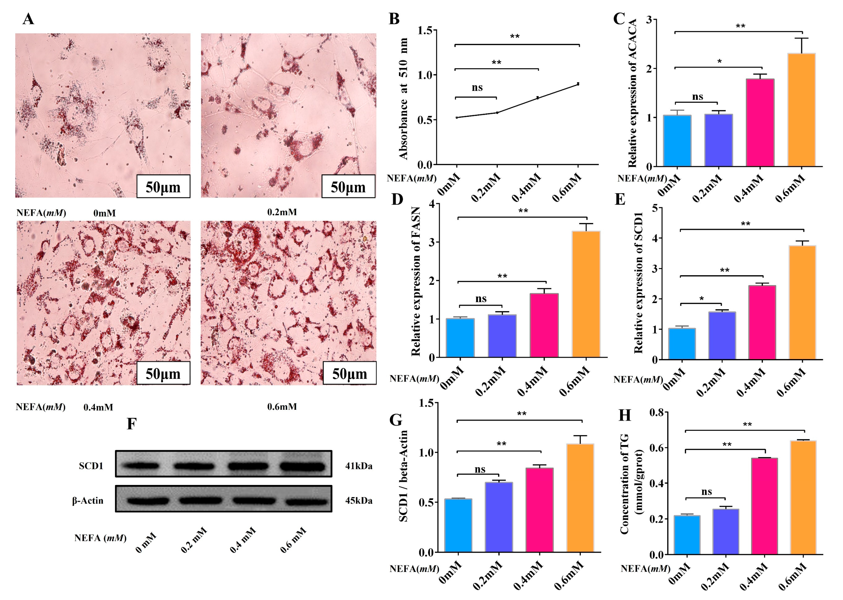 Animals 15 01618 g003