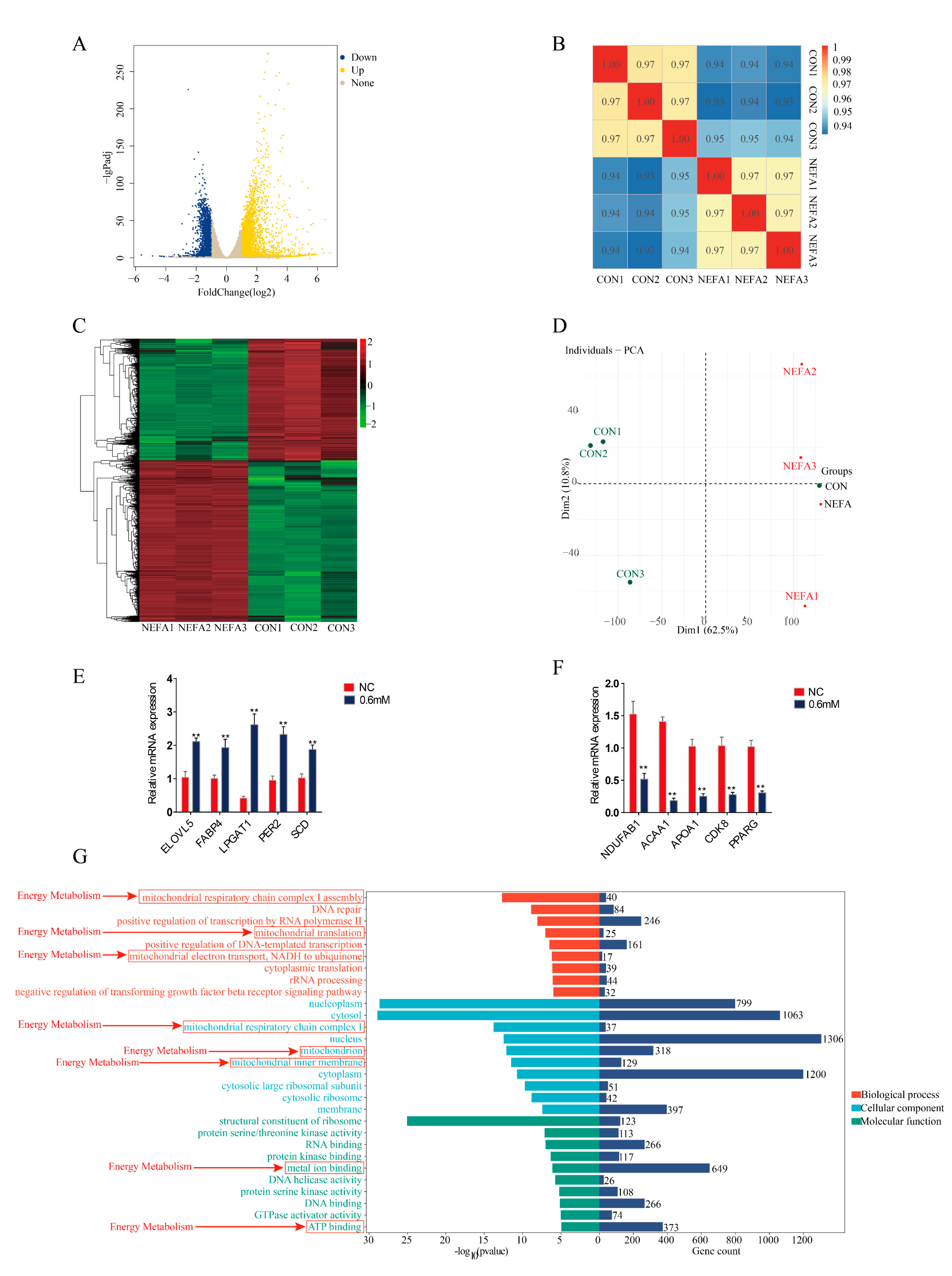 Animals 15 01618 g005