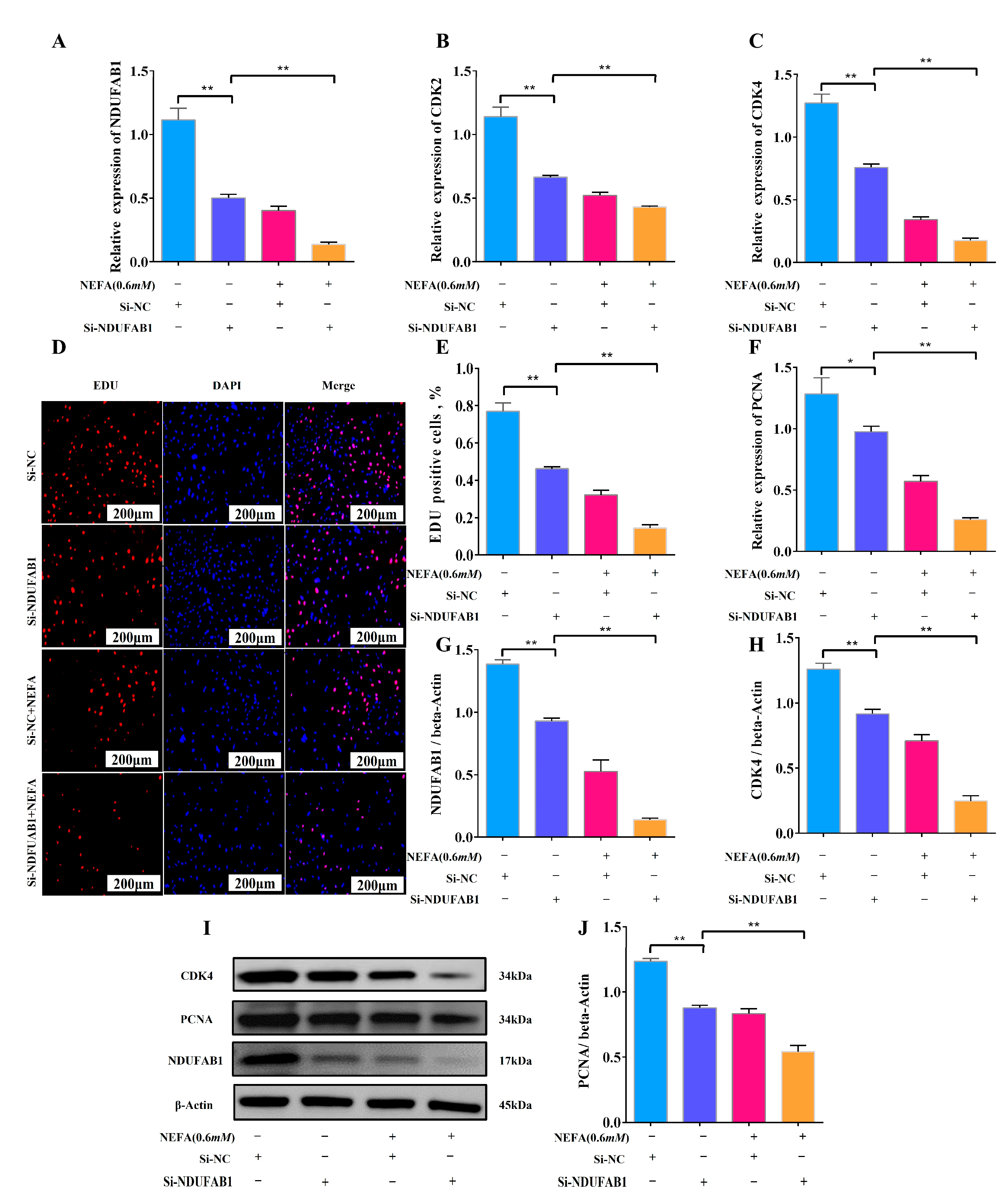 Animals 15 01618 g006
