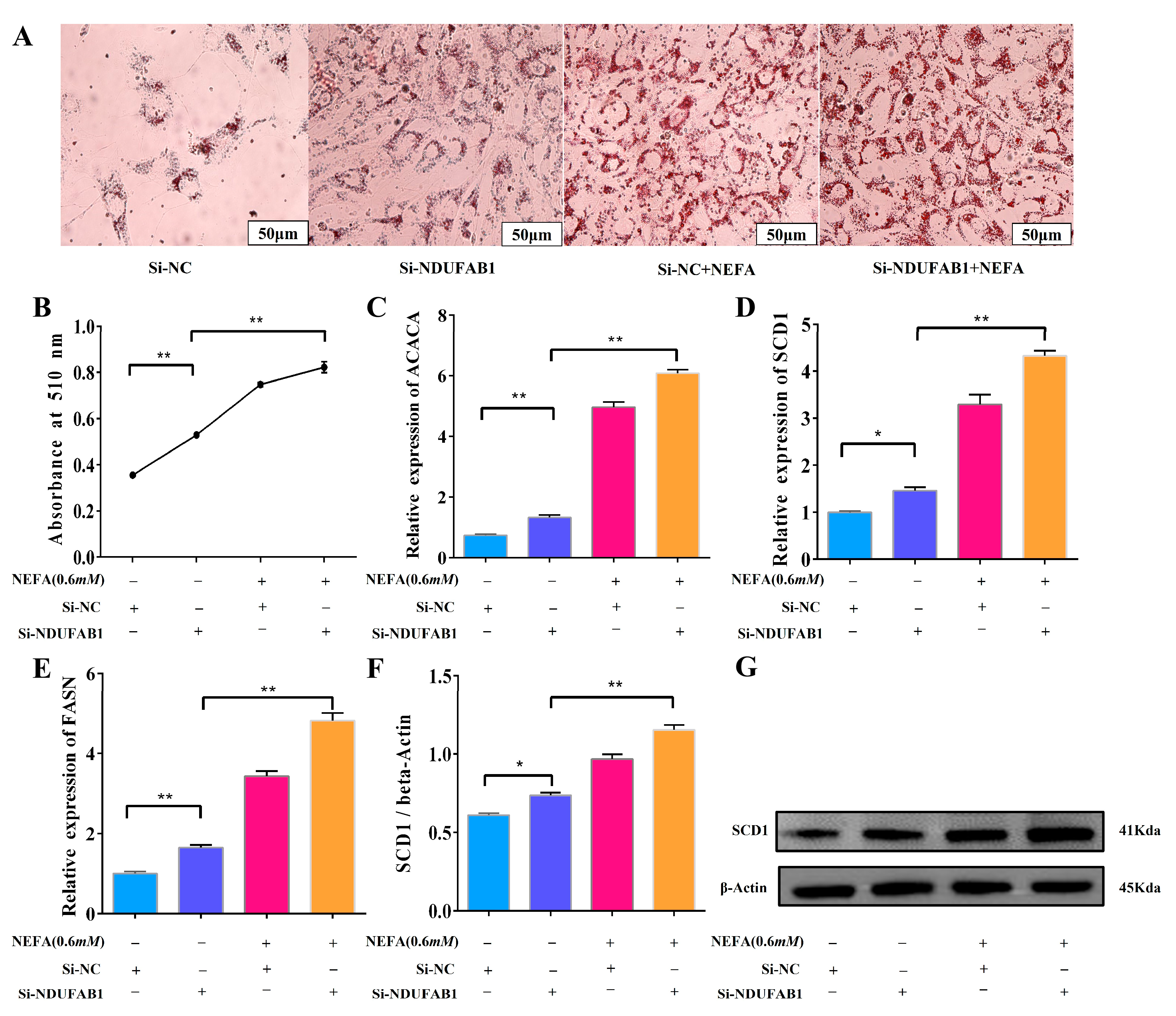 Animals 15 01618 g007