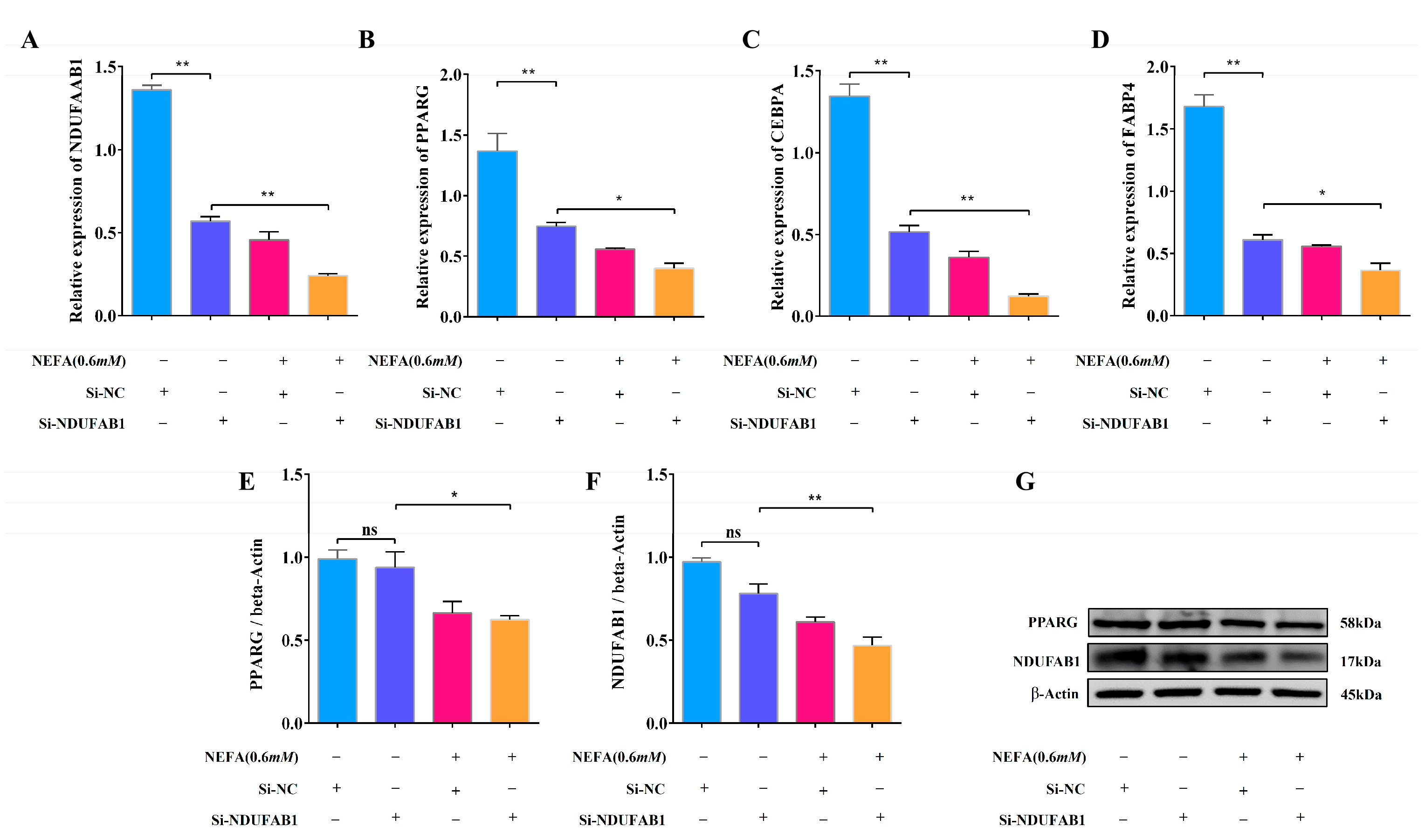 Animals 15 01618 g008