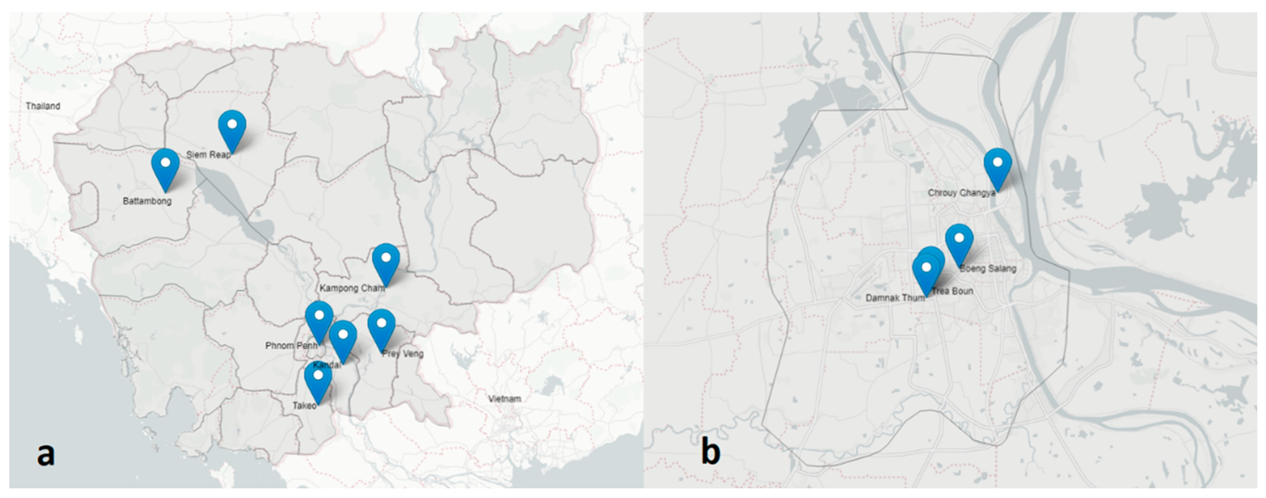 Animals 15 01624 g001