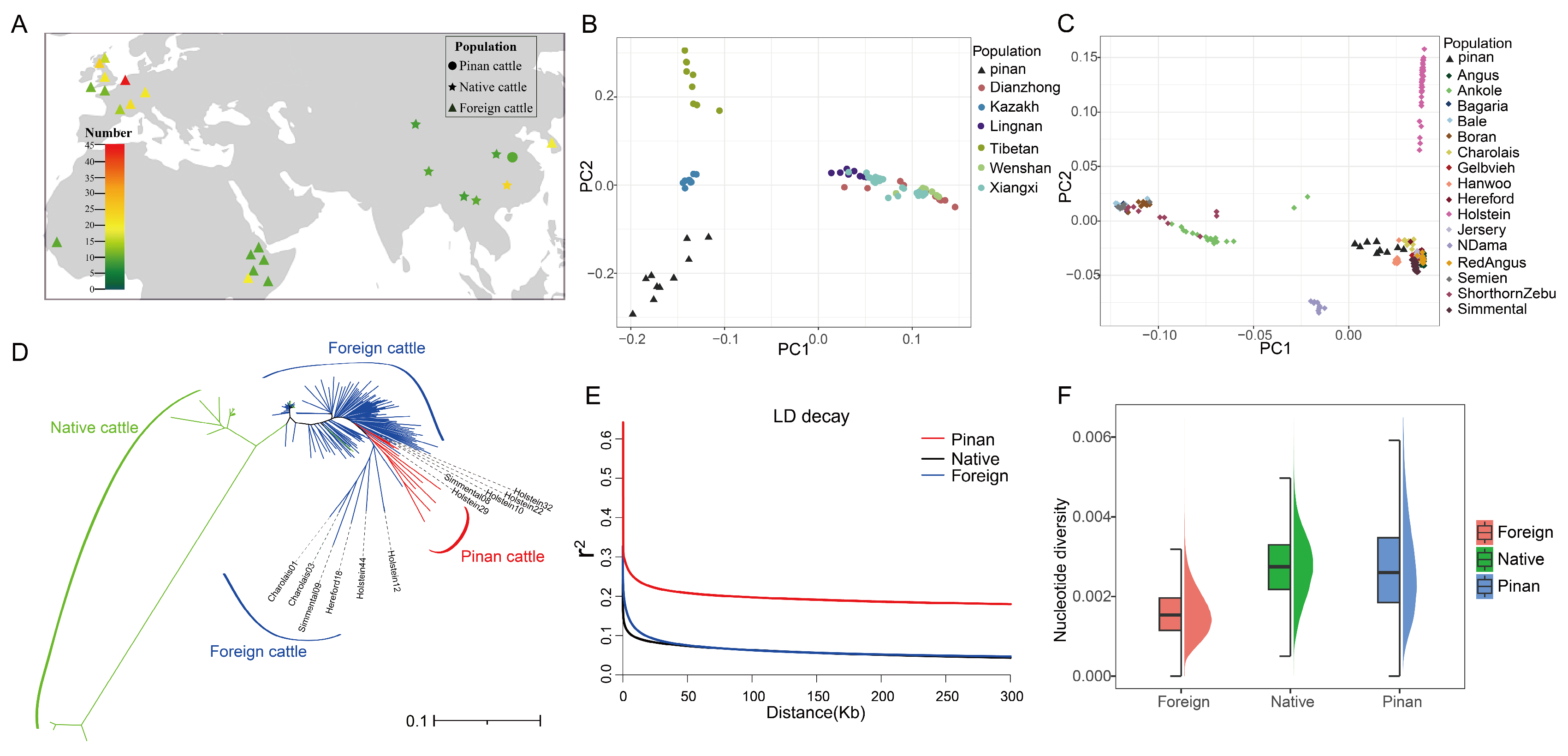 Animals 15 01626 g001 Animals 15 01626 g001