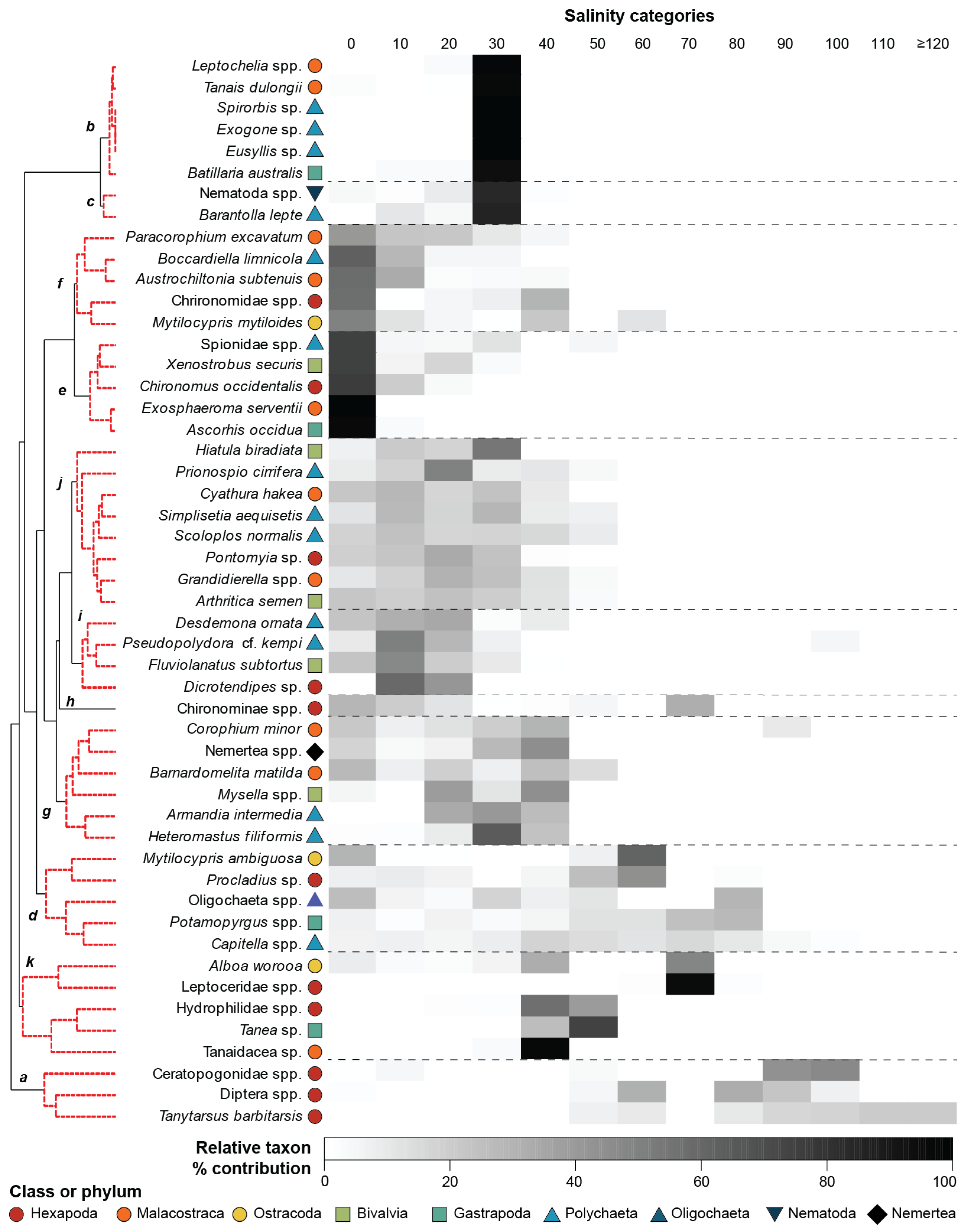 Animals 15 01629 g006 Animals 15 01629 g006
