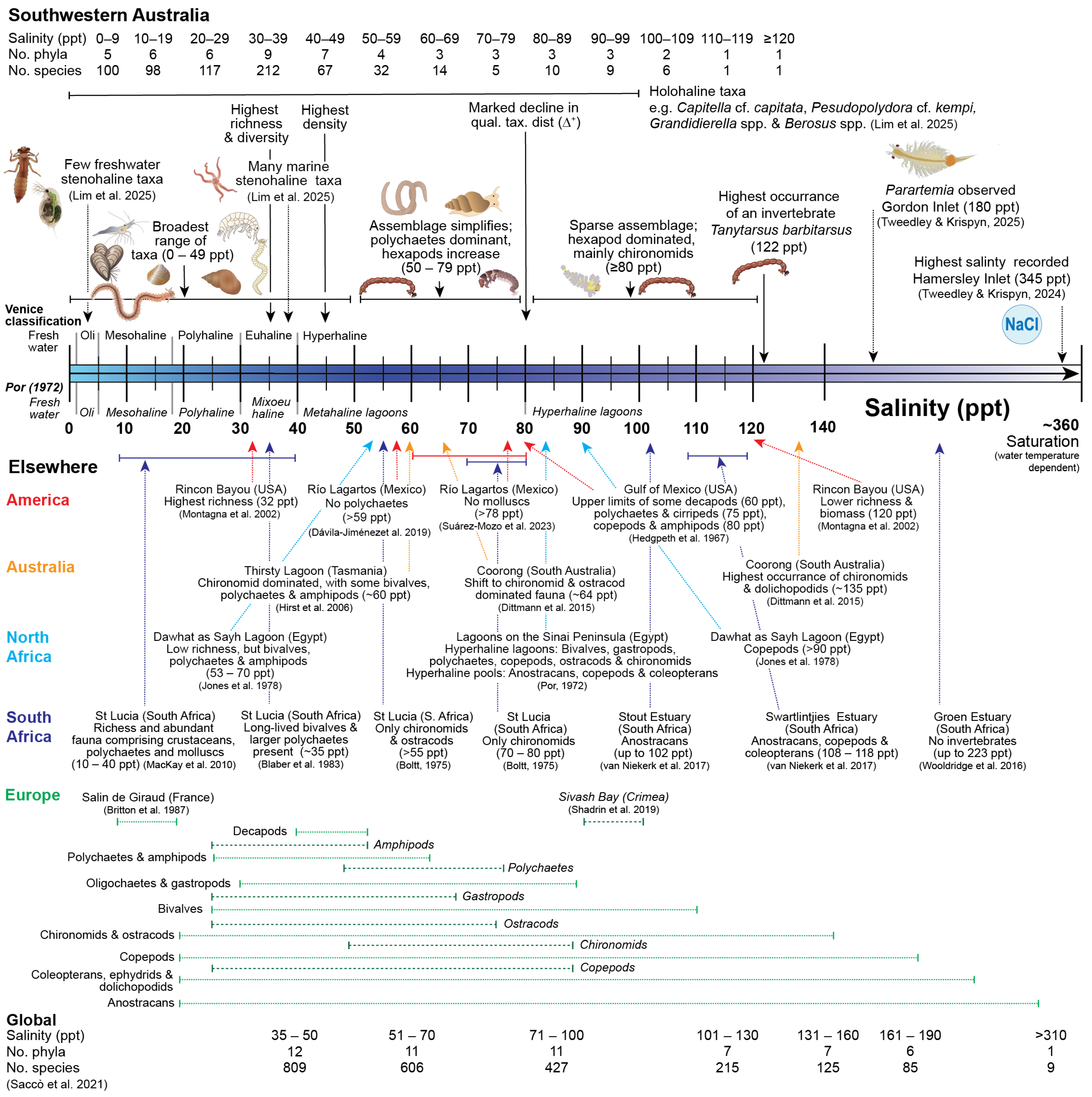 Animals 15 01629 g007 Animals 15 01629 g007