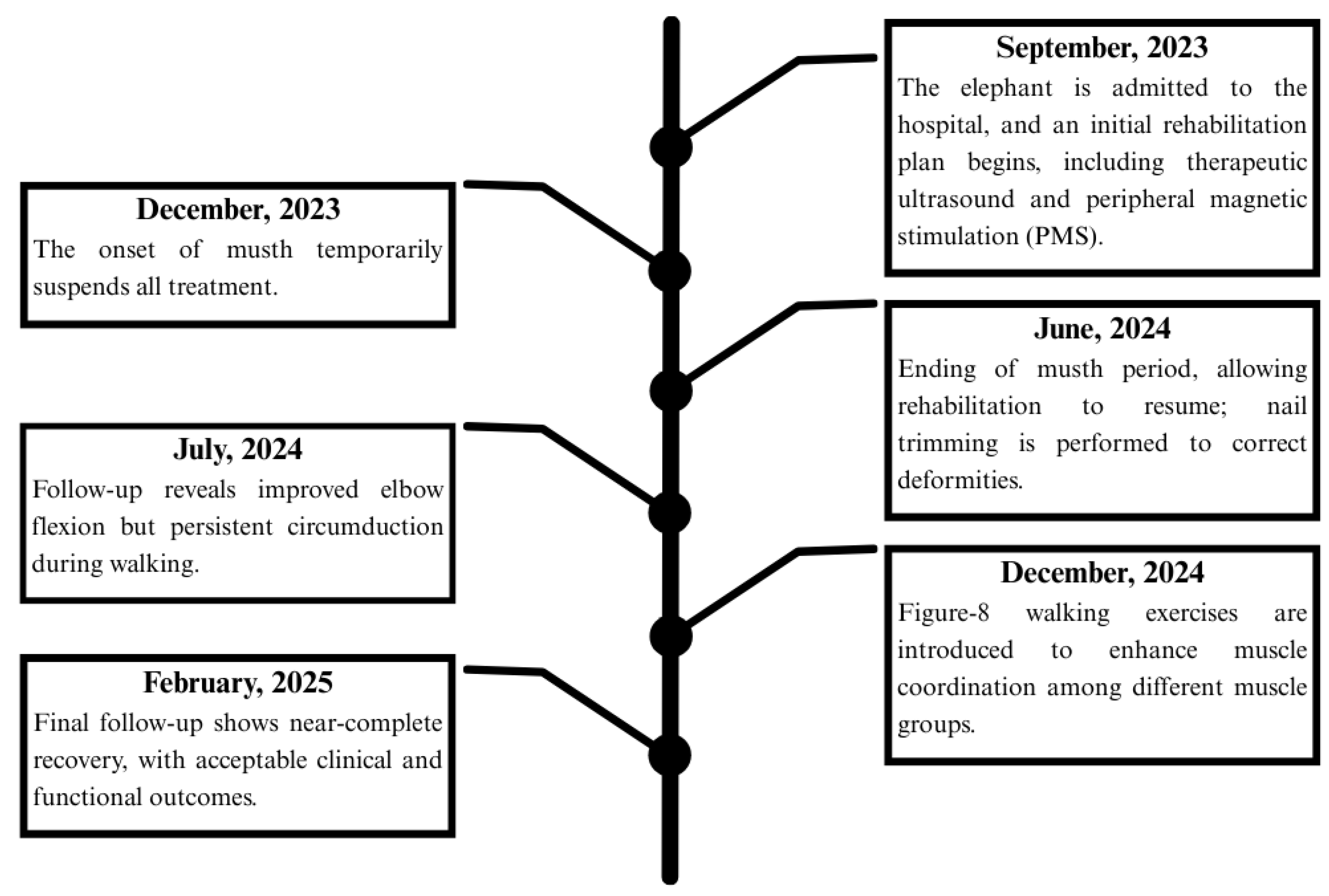 Animals 15 01632 g008