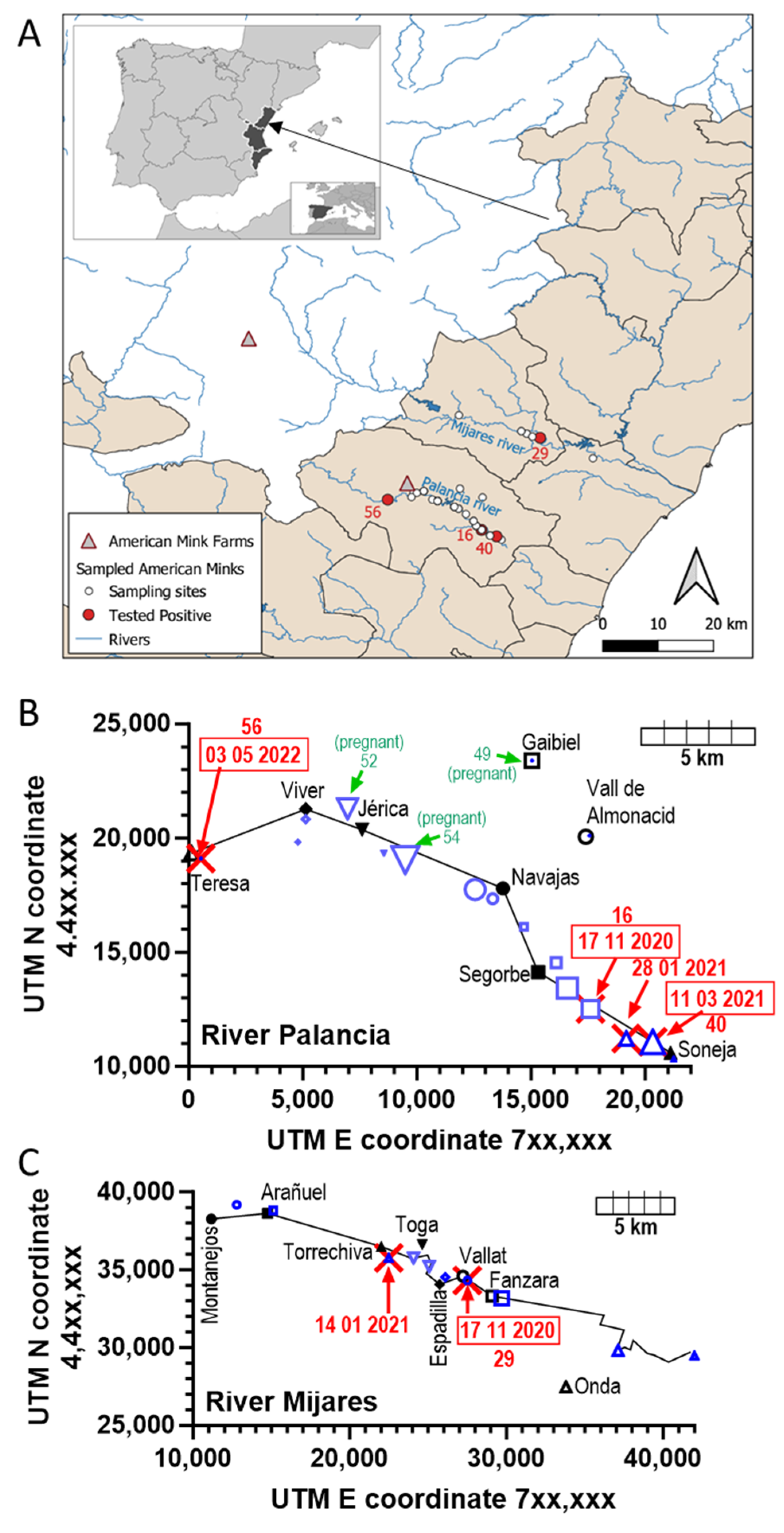 Animals 15 01636 g001