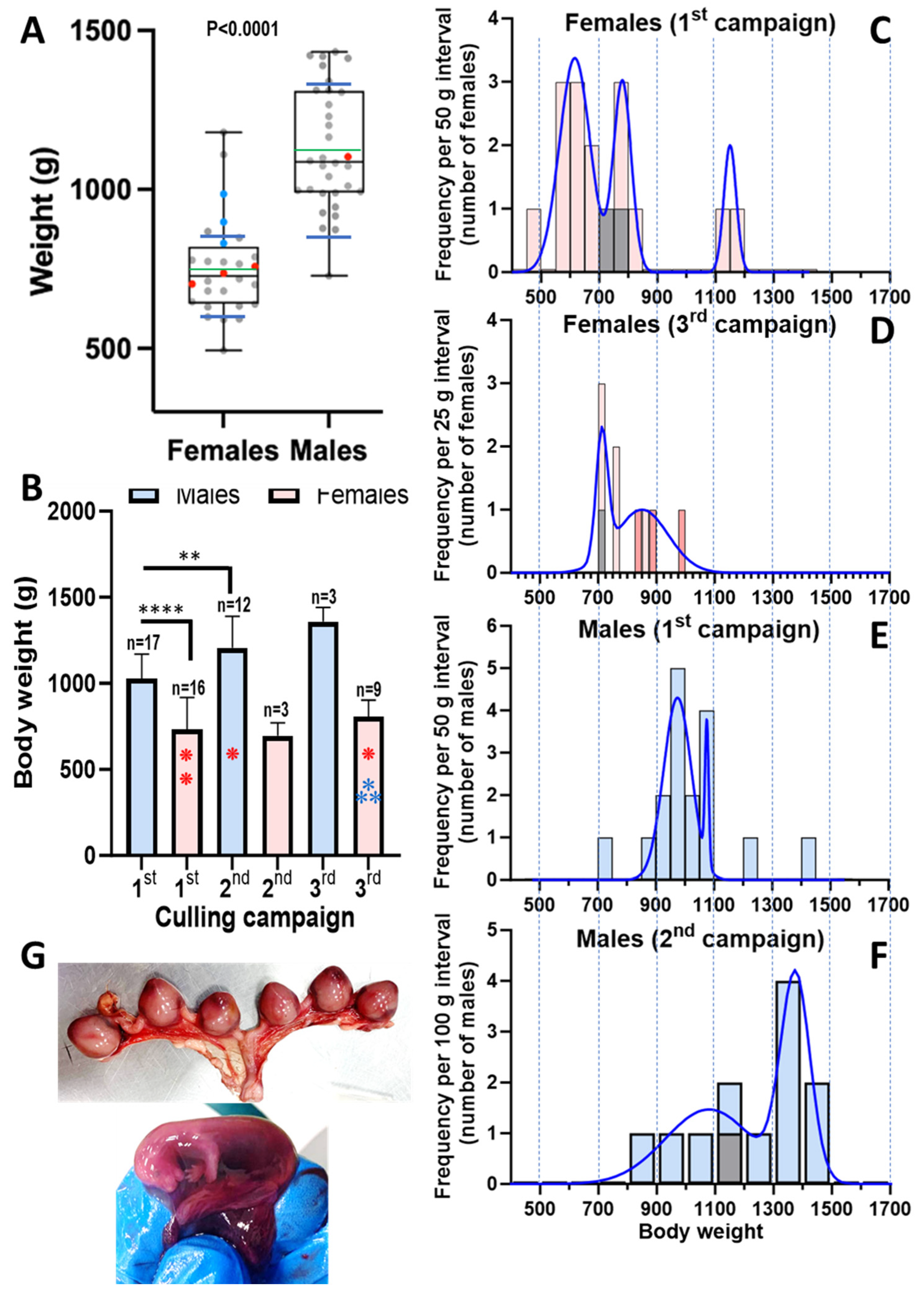 Animals 15 01636 g003