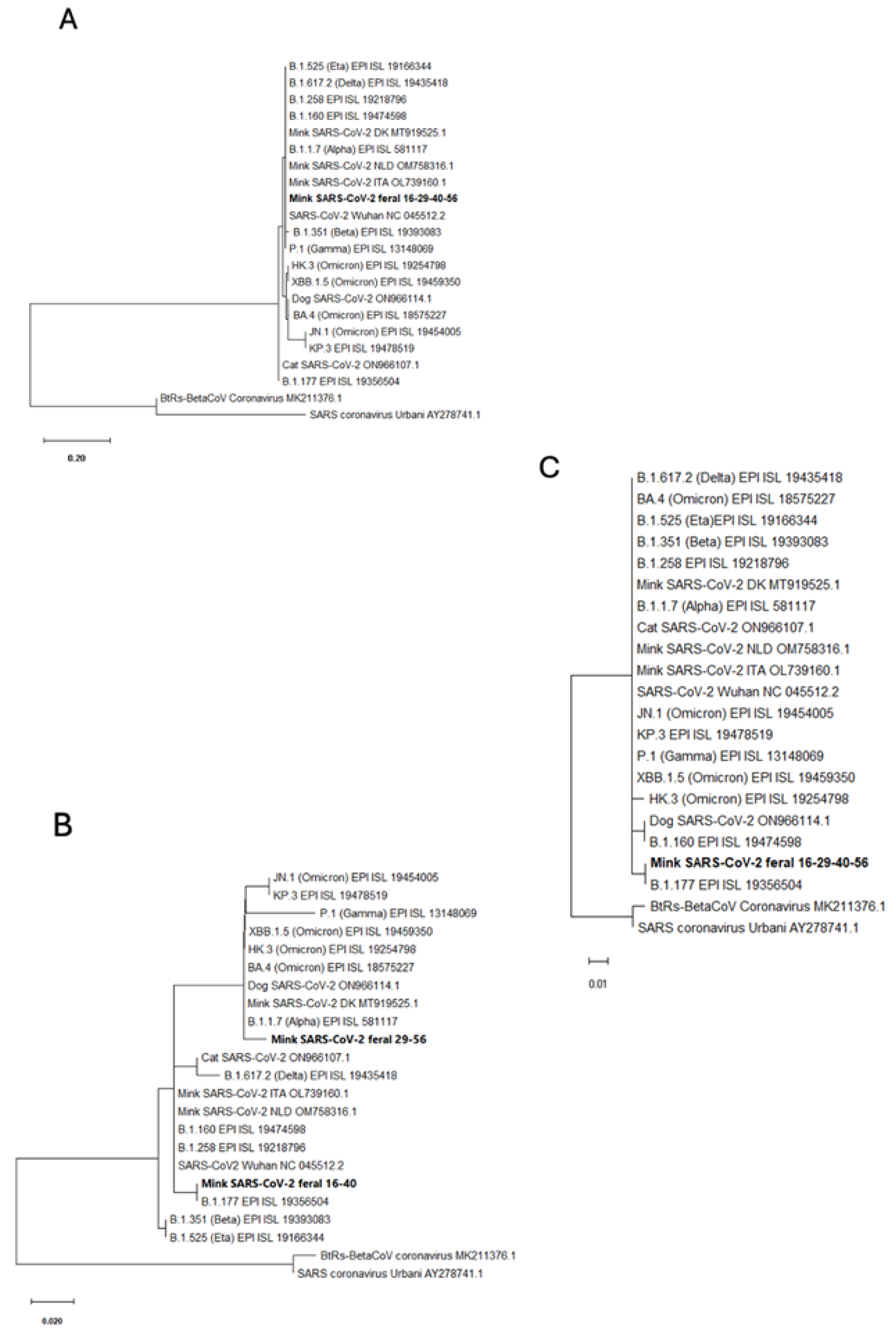 Animals 15 01636 g005