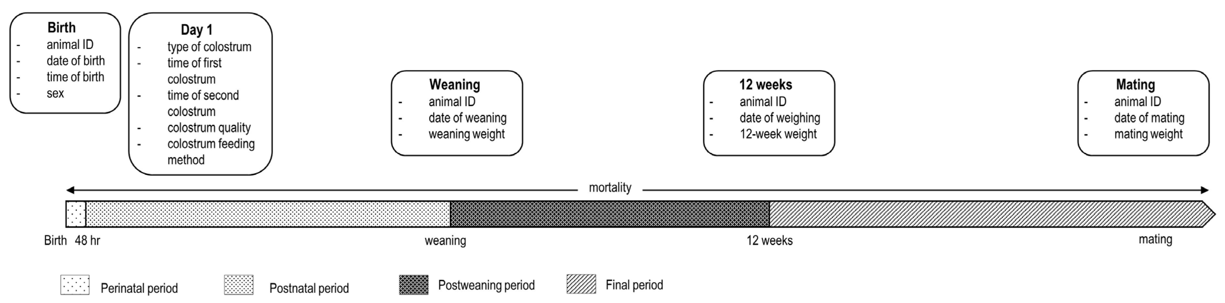 Animals 15 01653 g001