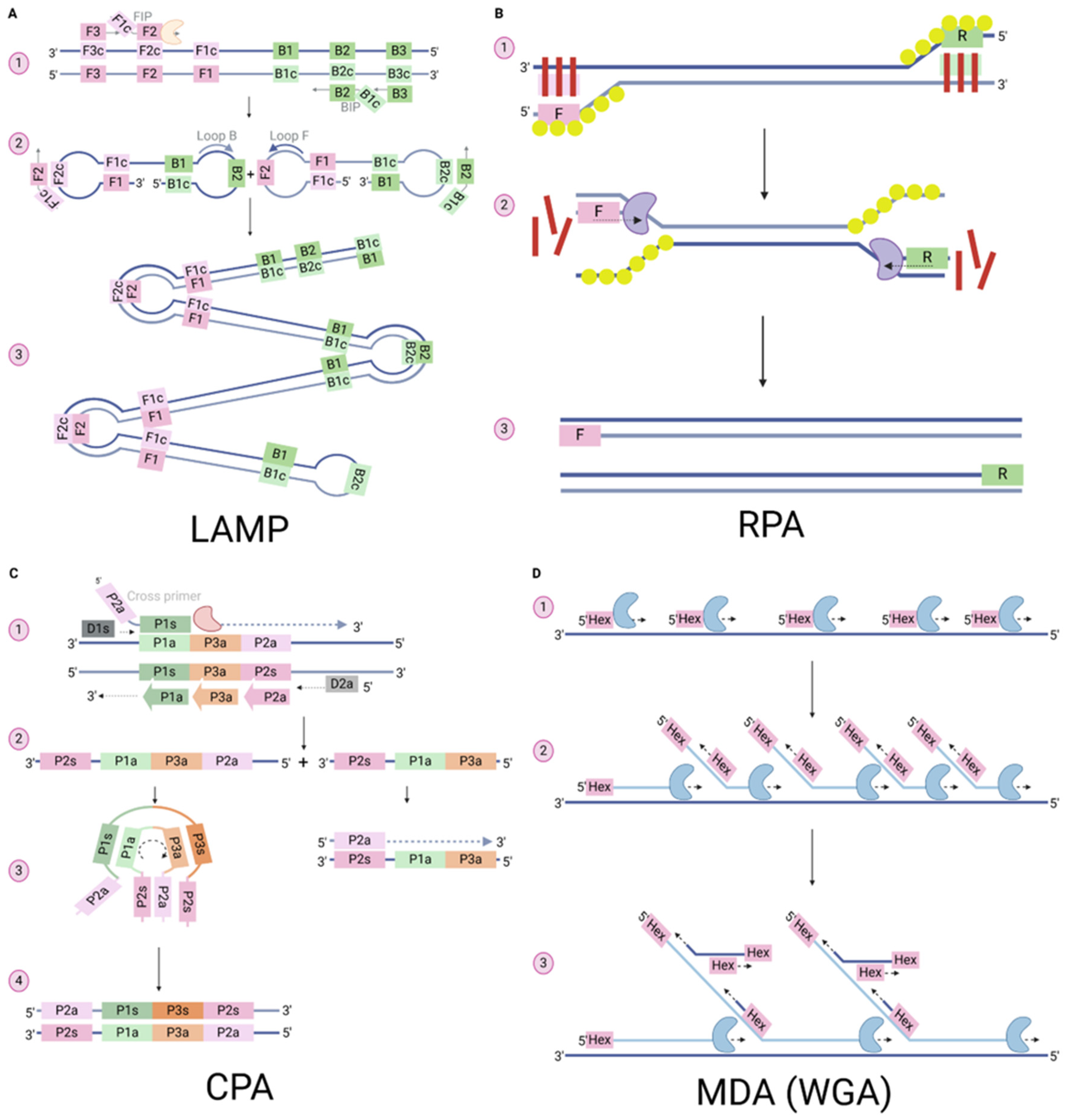 Animals 15 01664 g002