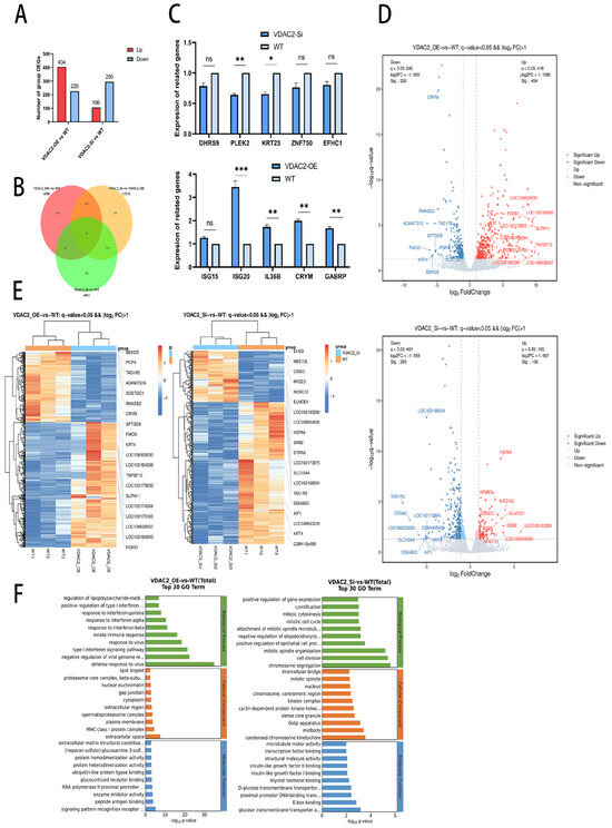 MA  Non-invasive neuromodulation assisted by exogenous stimuli