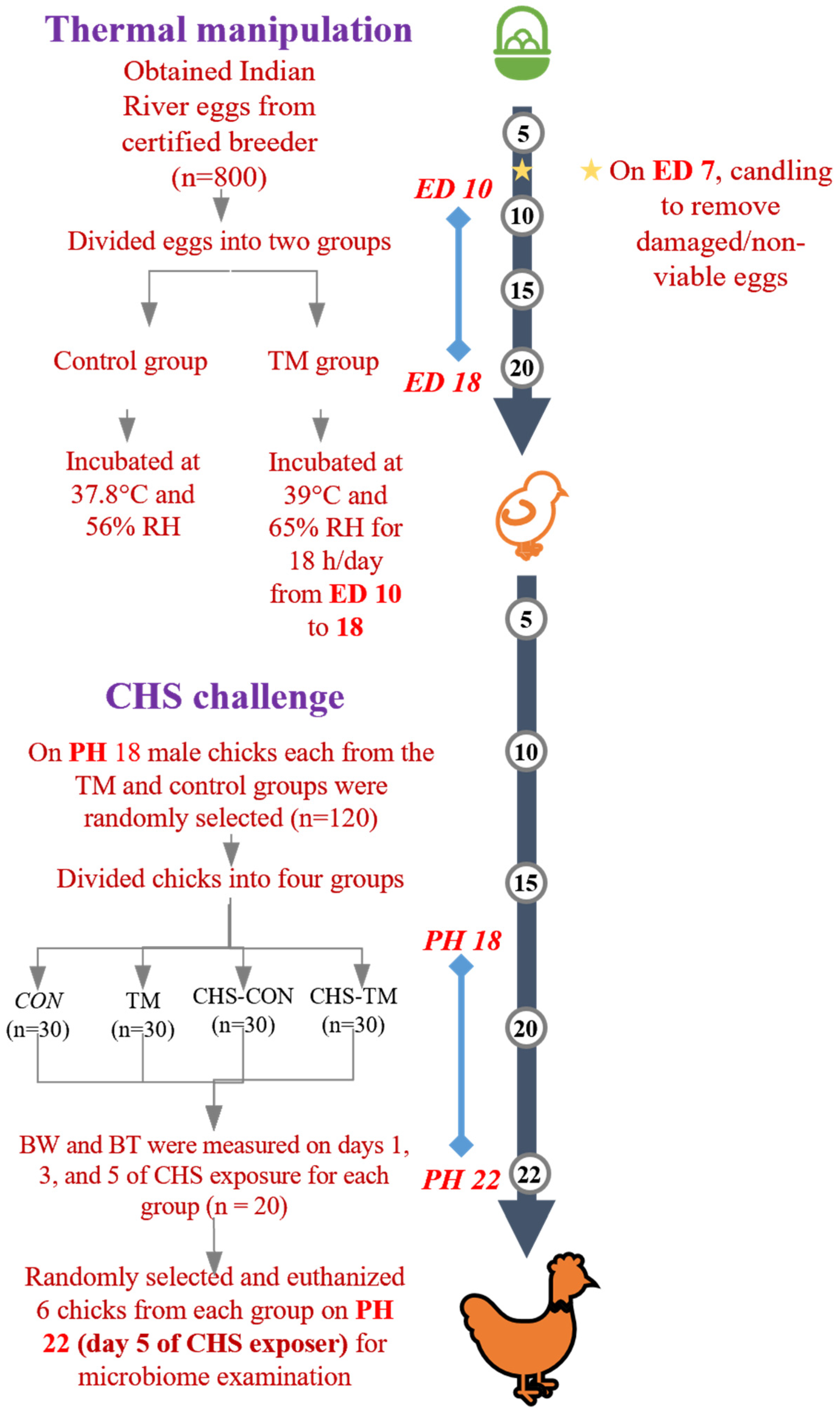 Animals 15 01677 g001