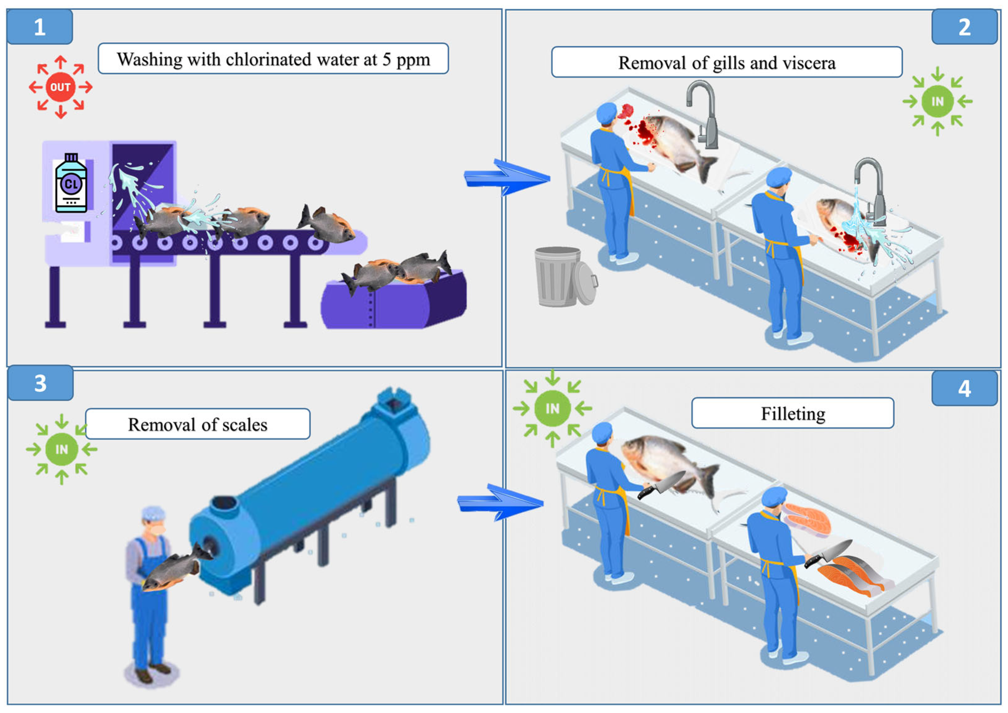 Animals 15 01679 g001