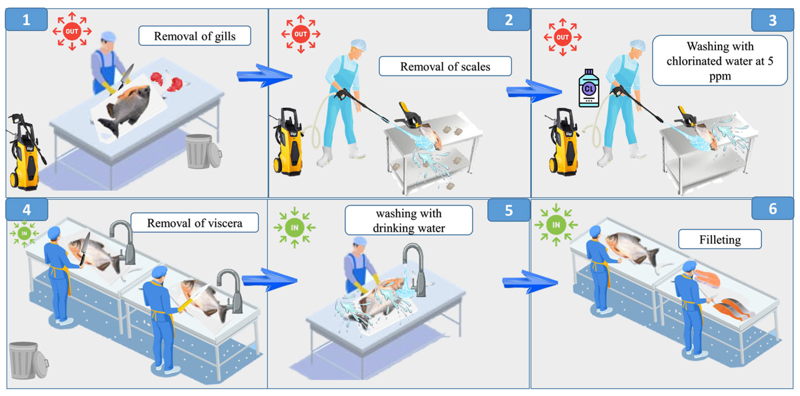 Animals 15 01679 g002