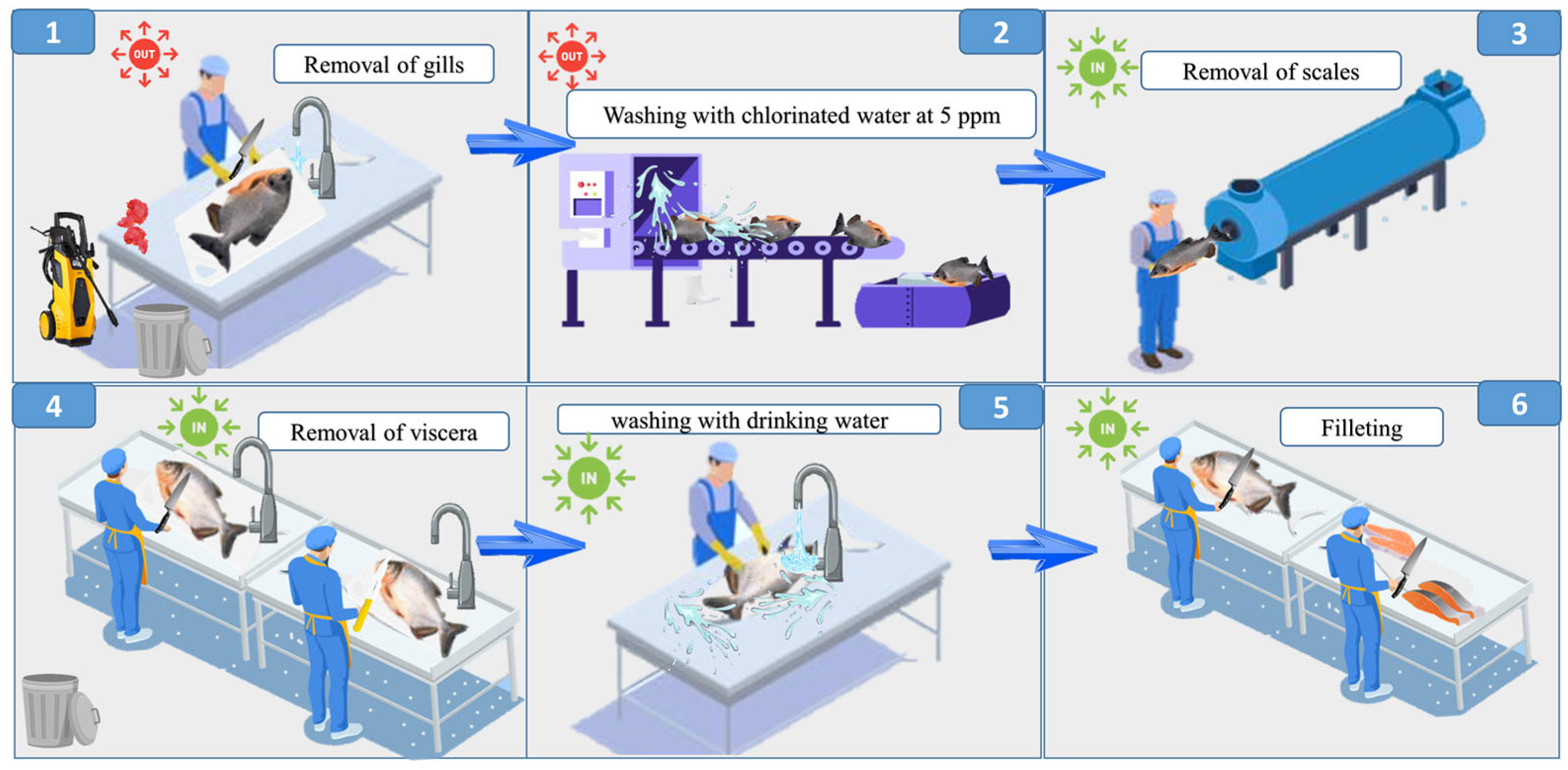 Animals 15 01679 g003