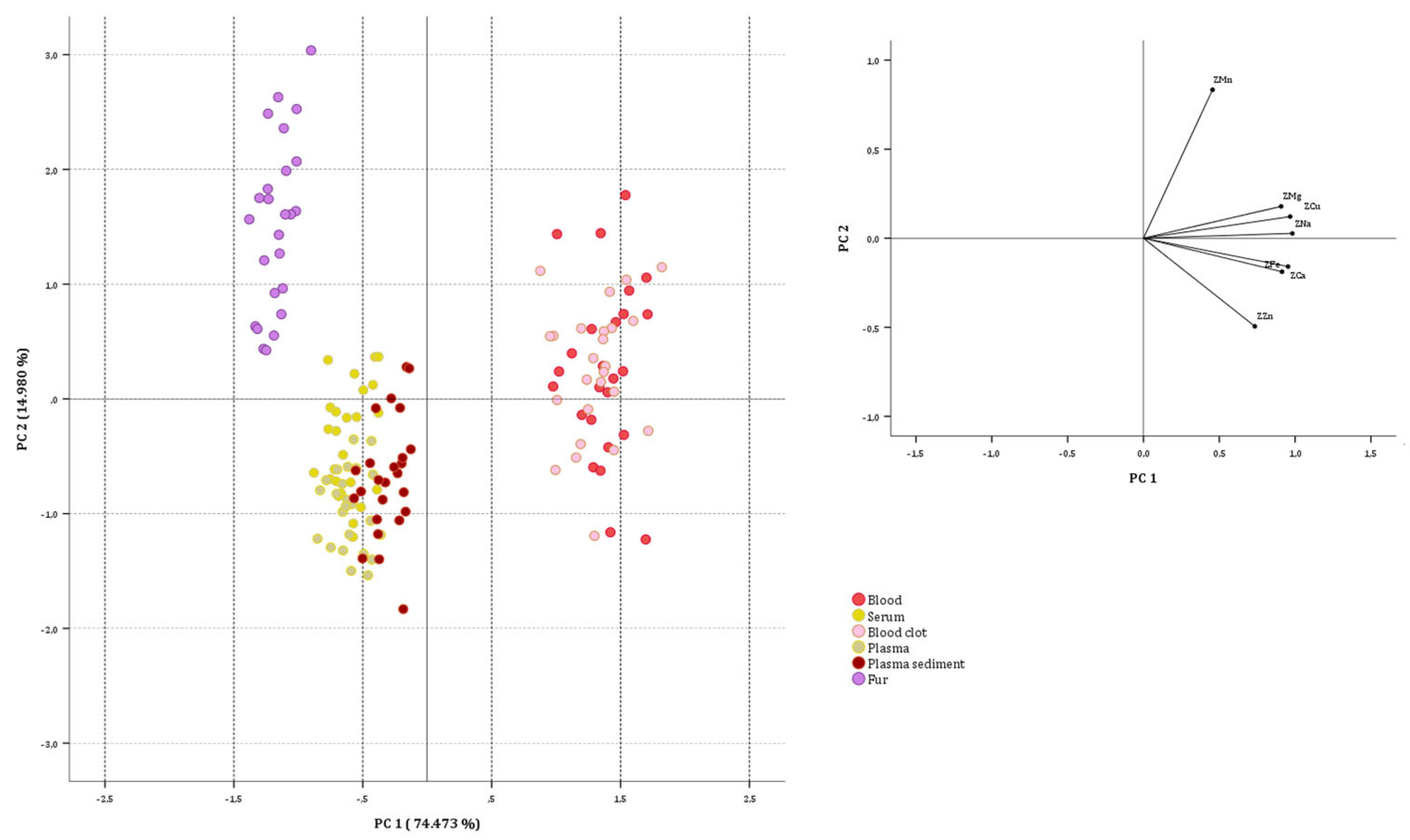 Animals 15 01686 g001 Animals 15 01686 g001
