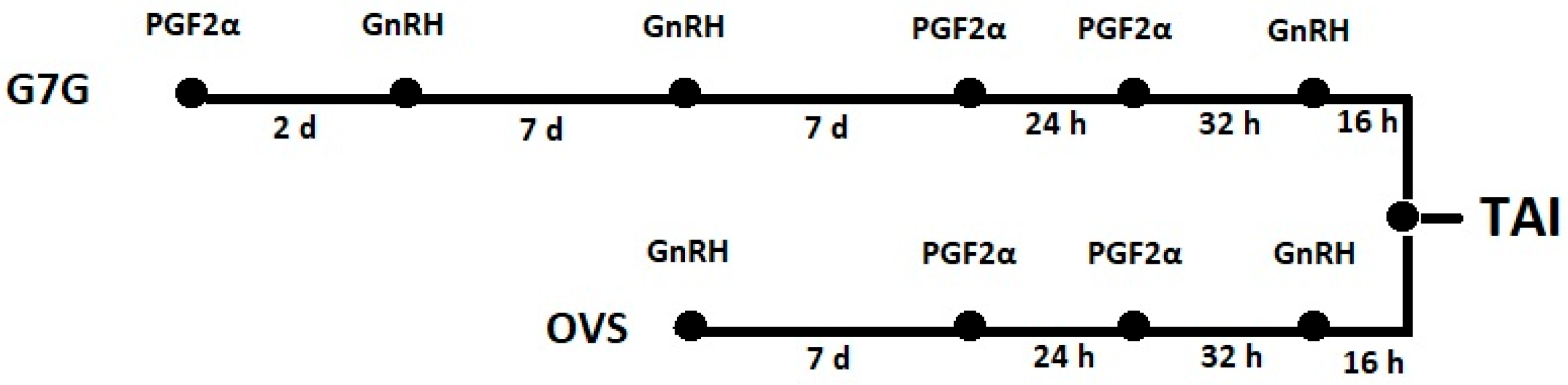 Animals 15 01688 g001