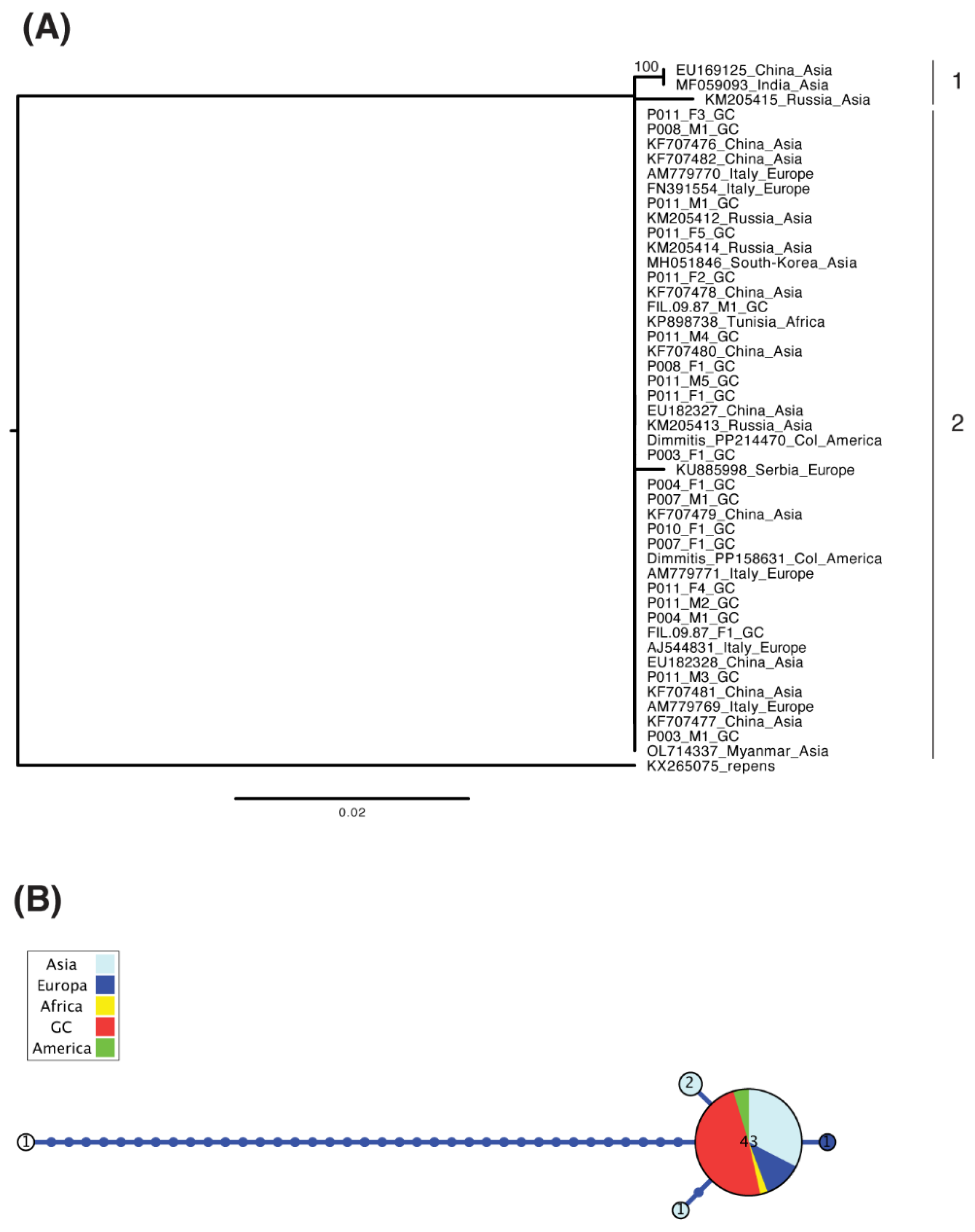 Animals 15 01694 g001