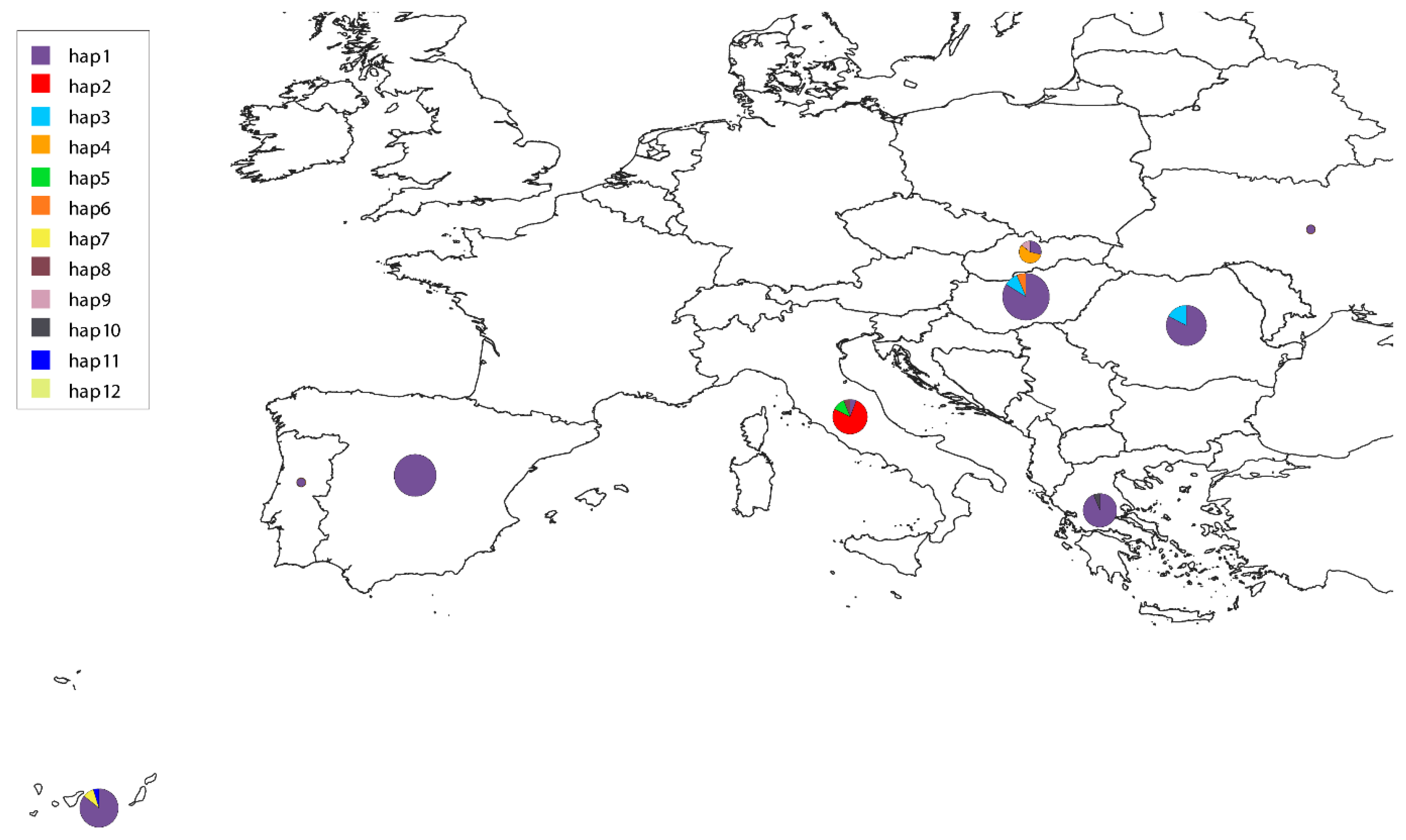 Animals 15 01694 g004