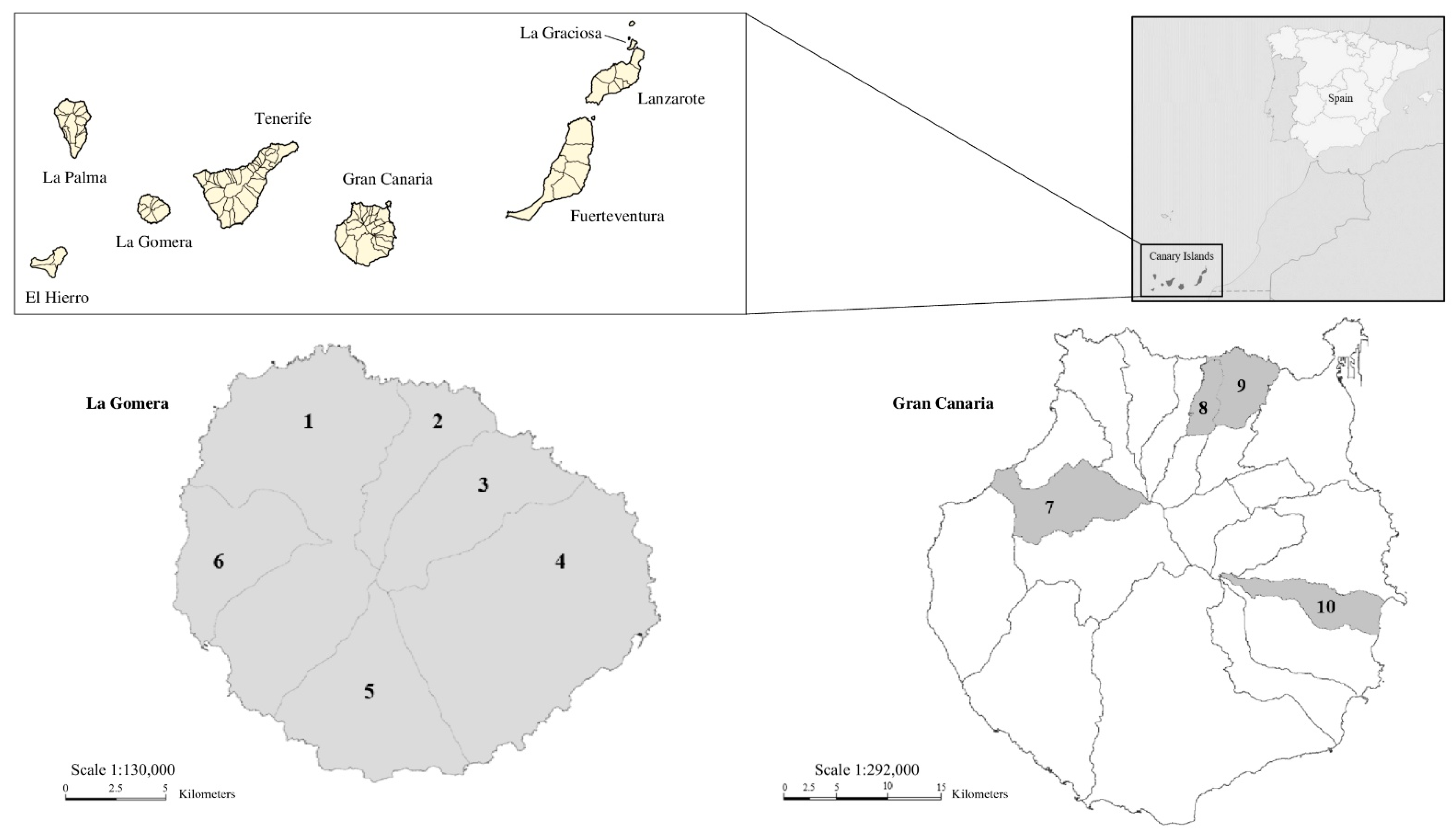 Animals 15 01695 g001 Animals 15 01695 g001