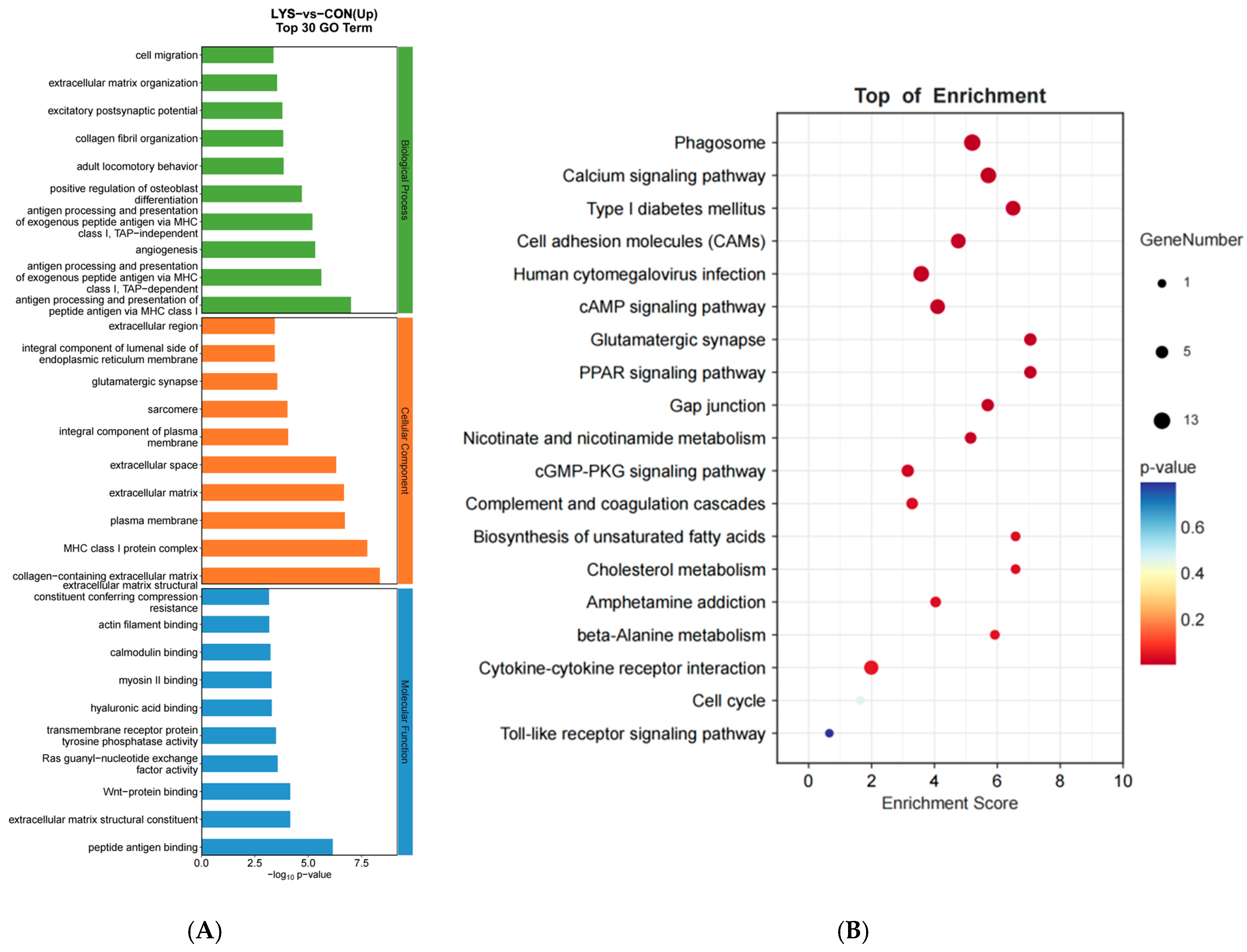 Animals 15 01711 g004