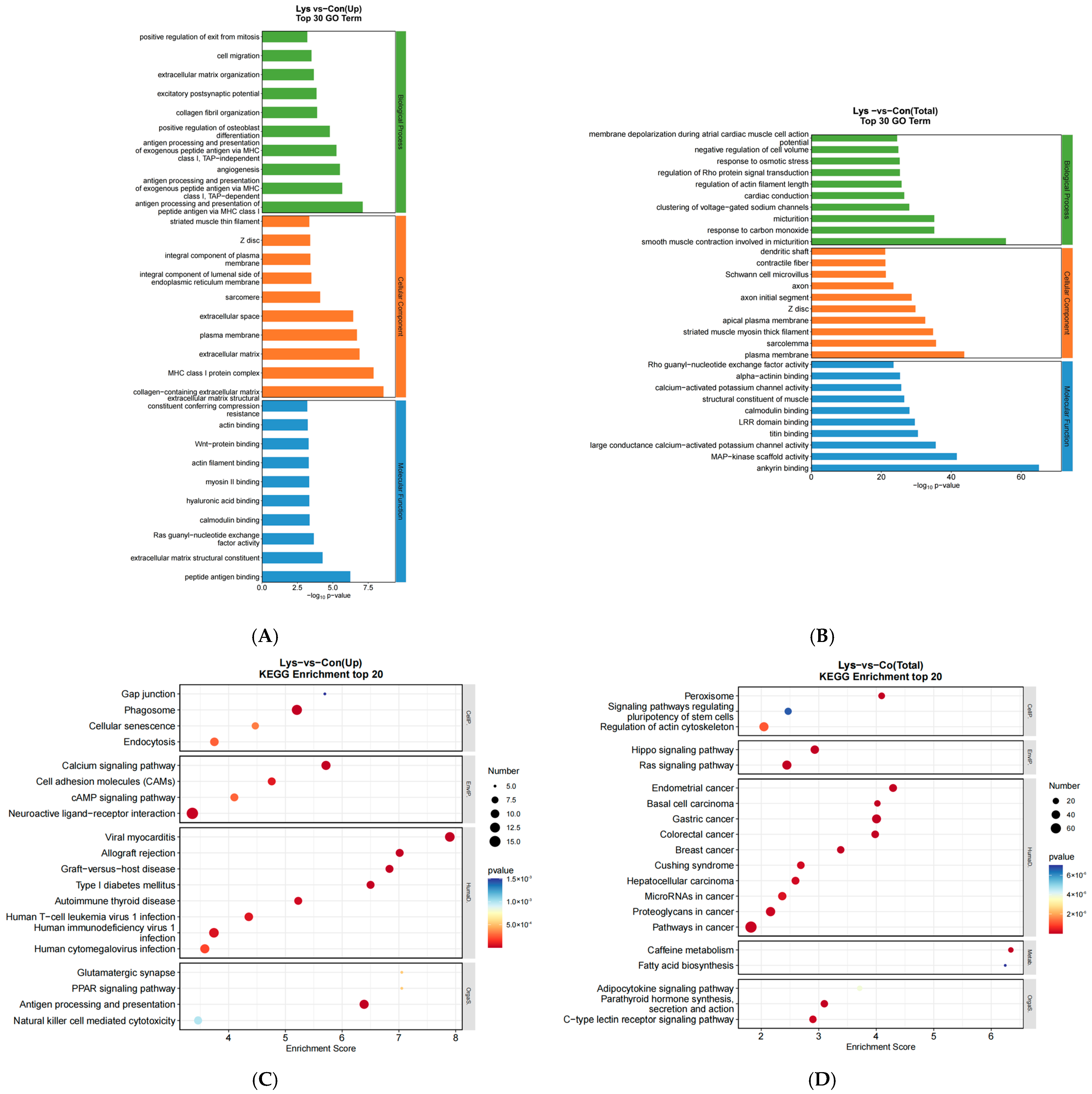 Animals 15 01711 g005