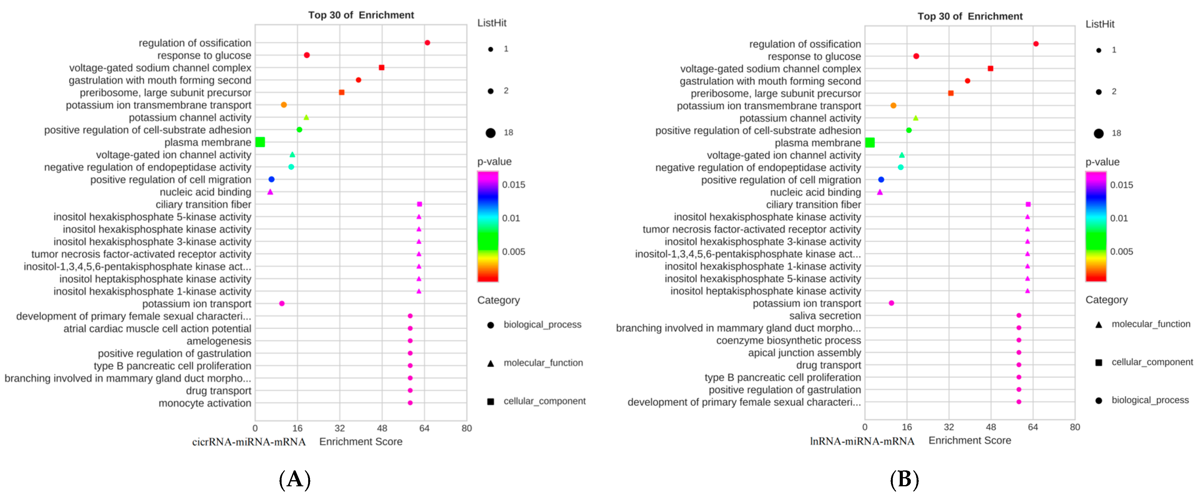 Animals 15 01711 g007a