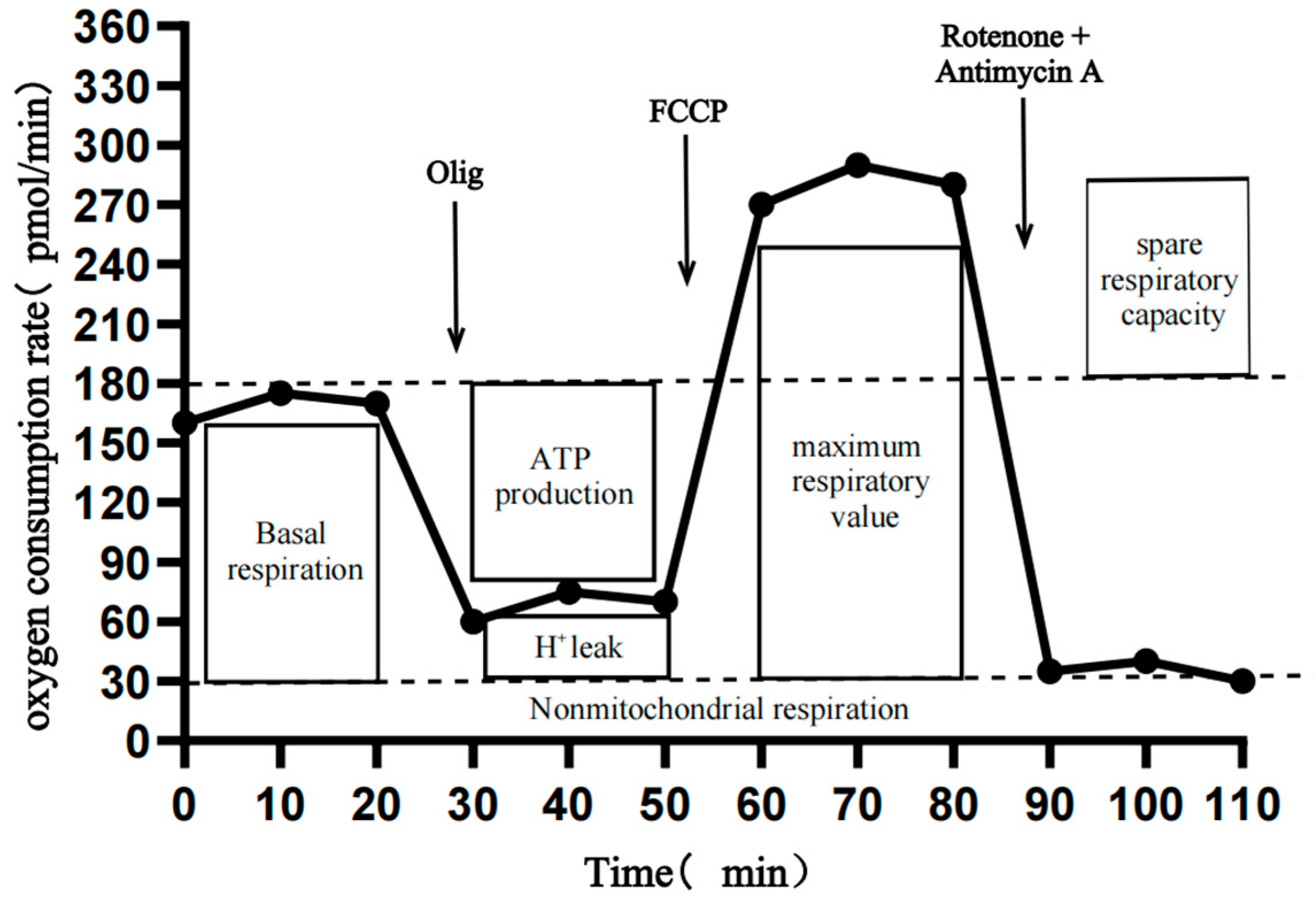 Animals 15 01711 g0a1