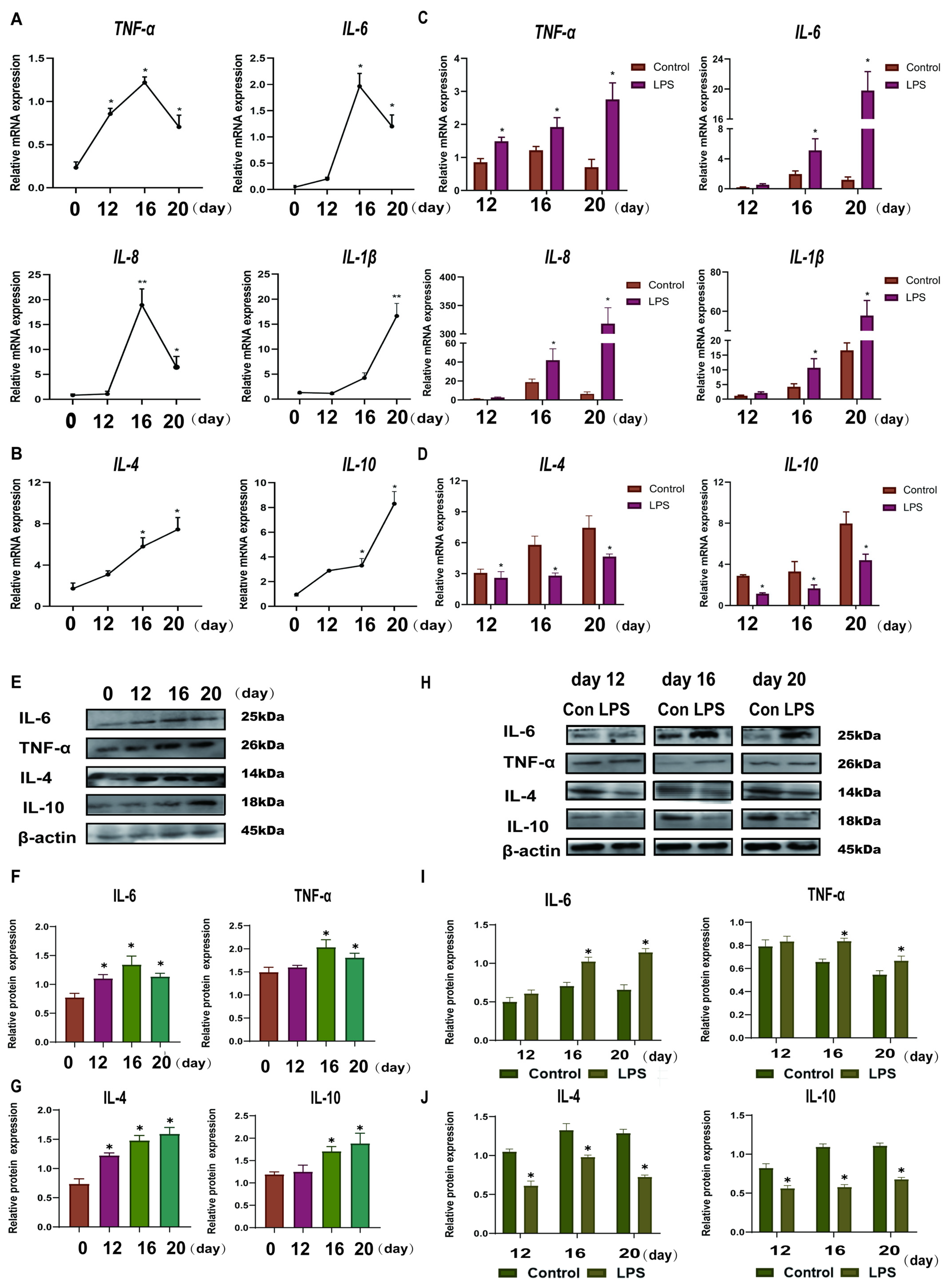 Animals 15 01712 g001