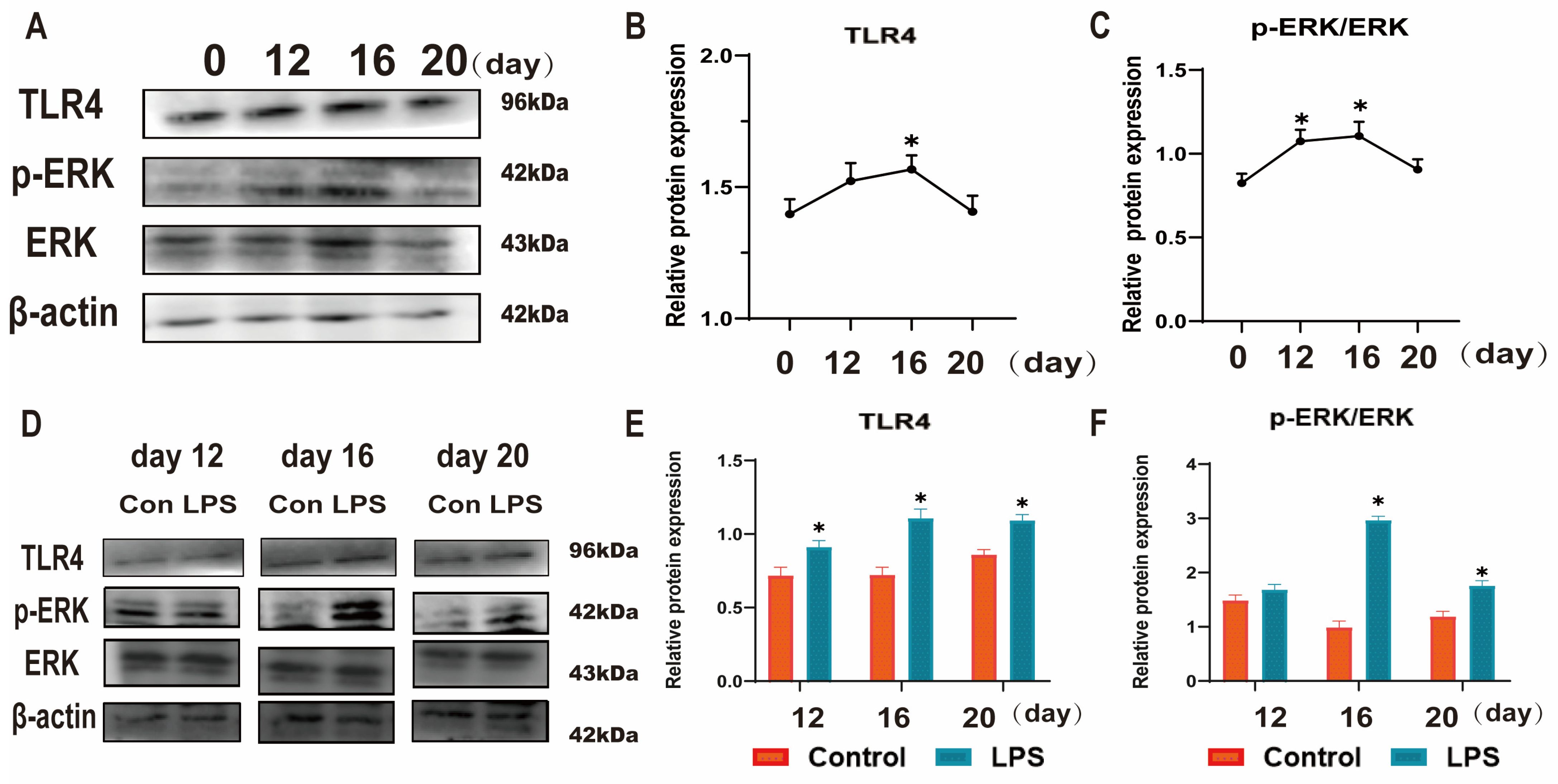 Animals 15 01712 g003