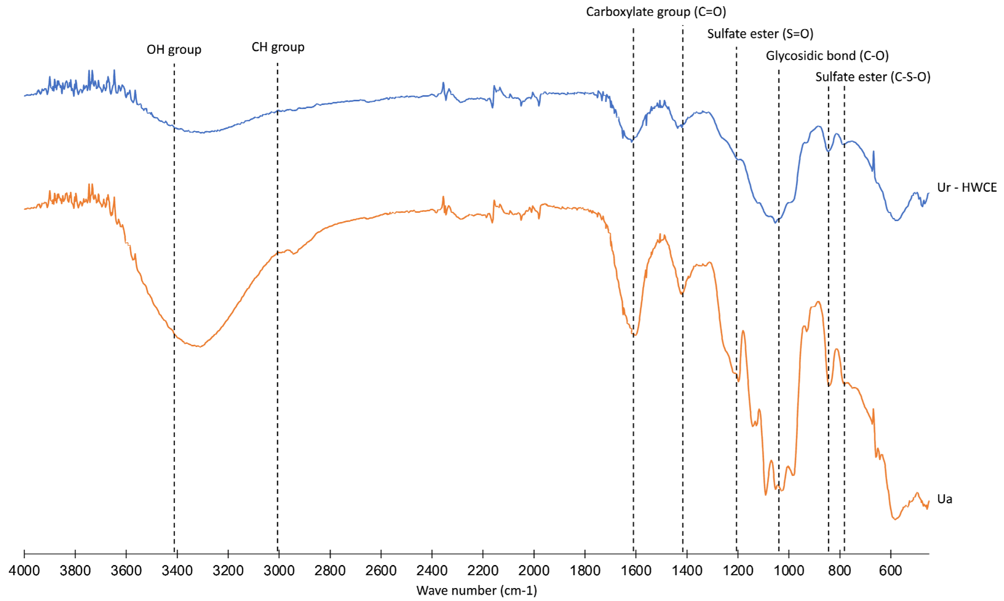 Animals 15 01714 g001