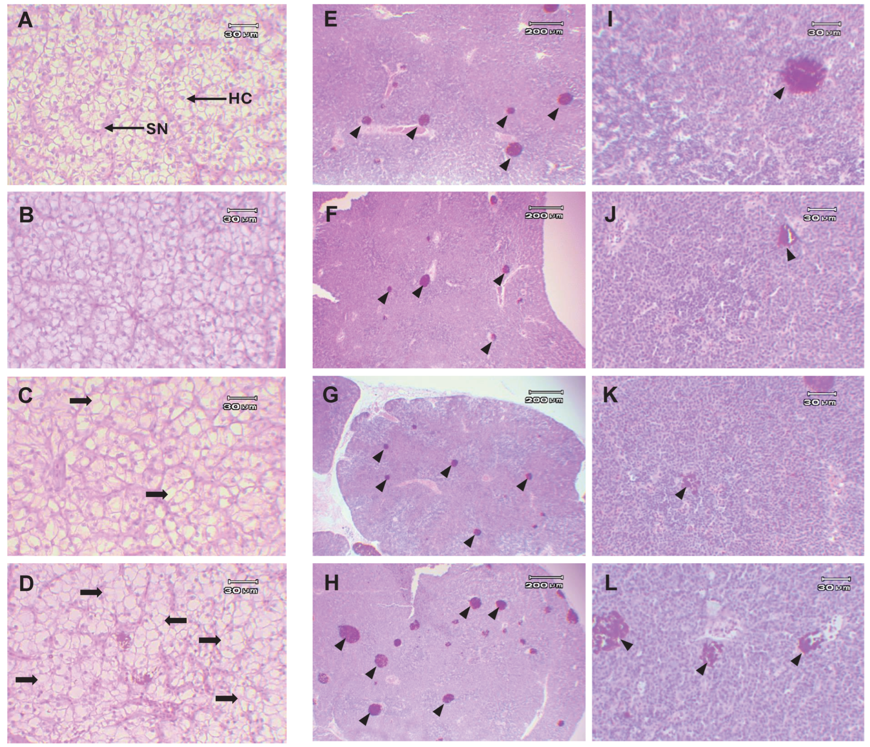 Animals 15 01714 g009