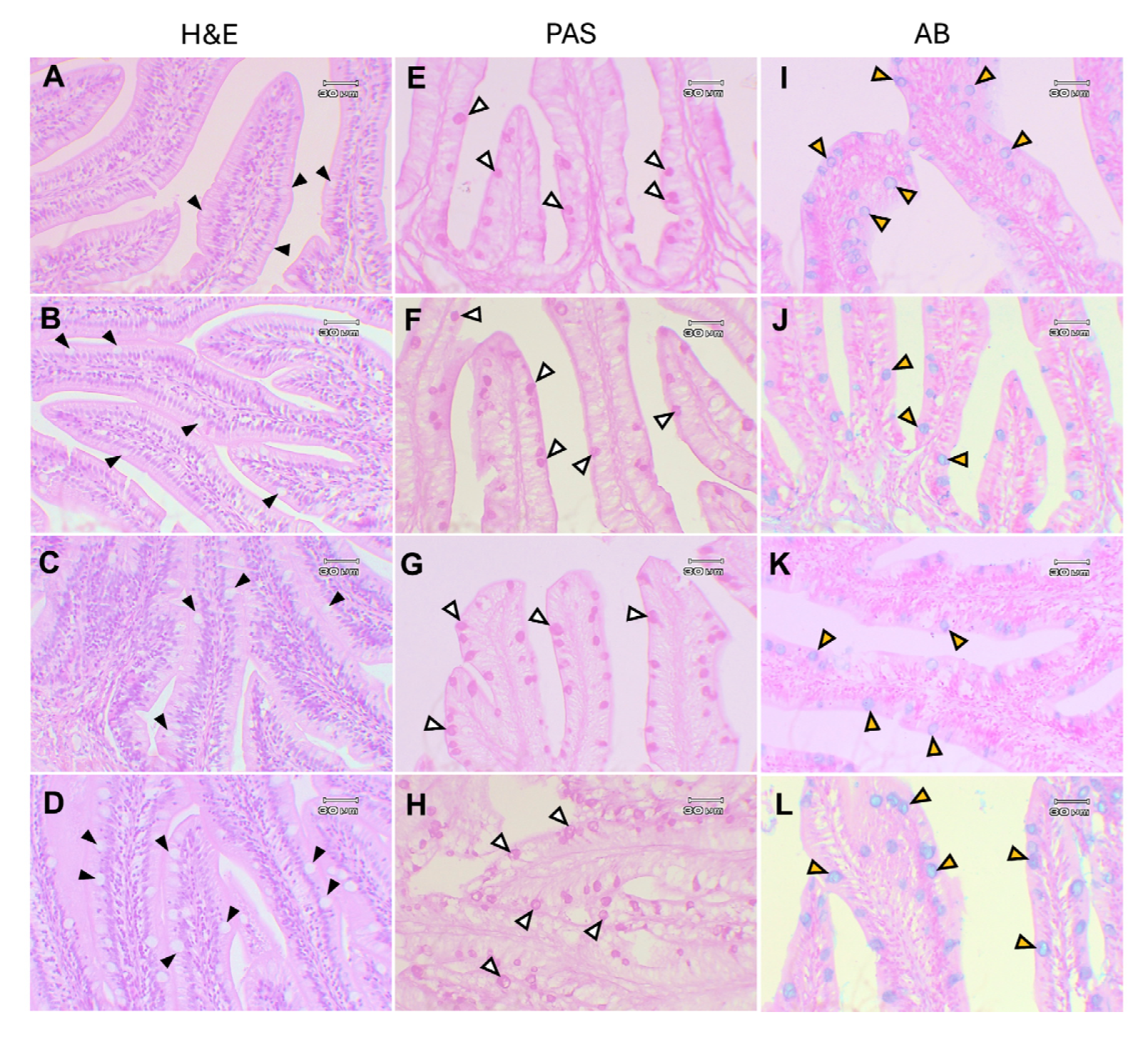 Animals 15 01714 g010