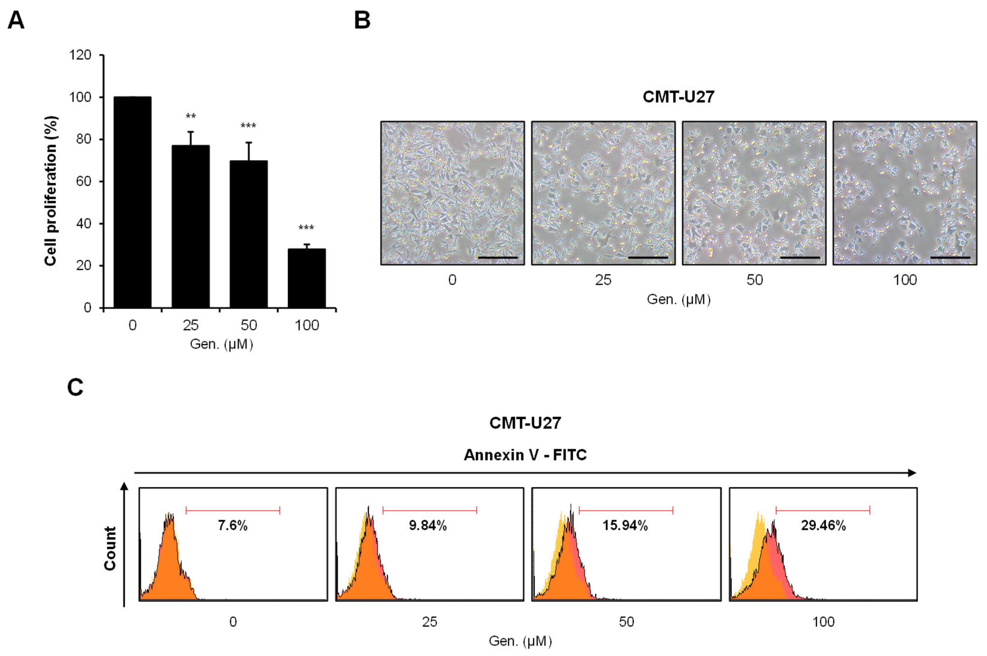 The Anticancer Effect of Genistein Through Enhancing PERK