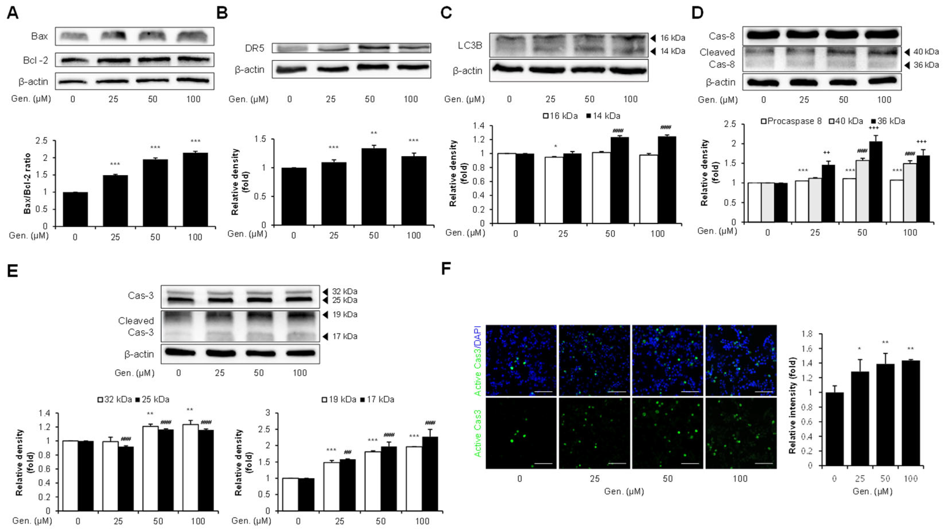 Animals 15 01717 g003