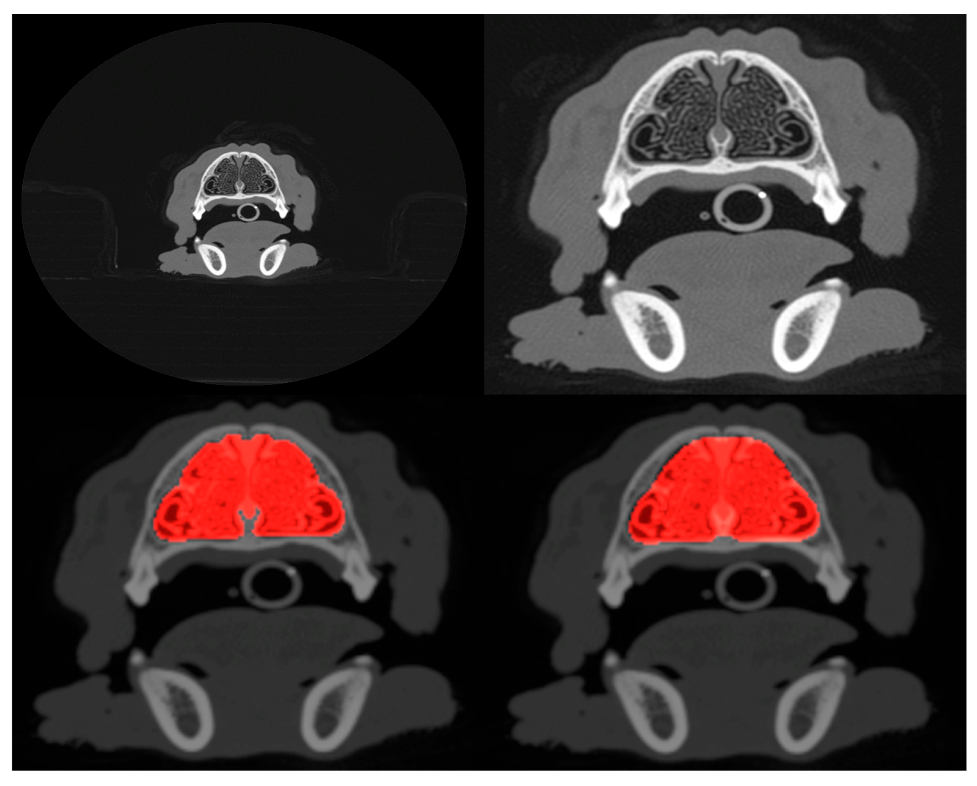 Animals 15 01718 g001