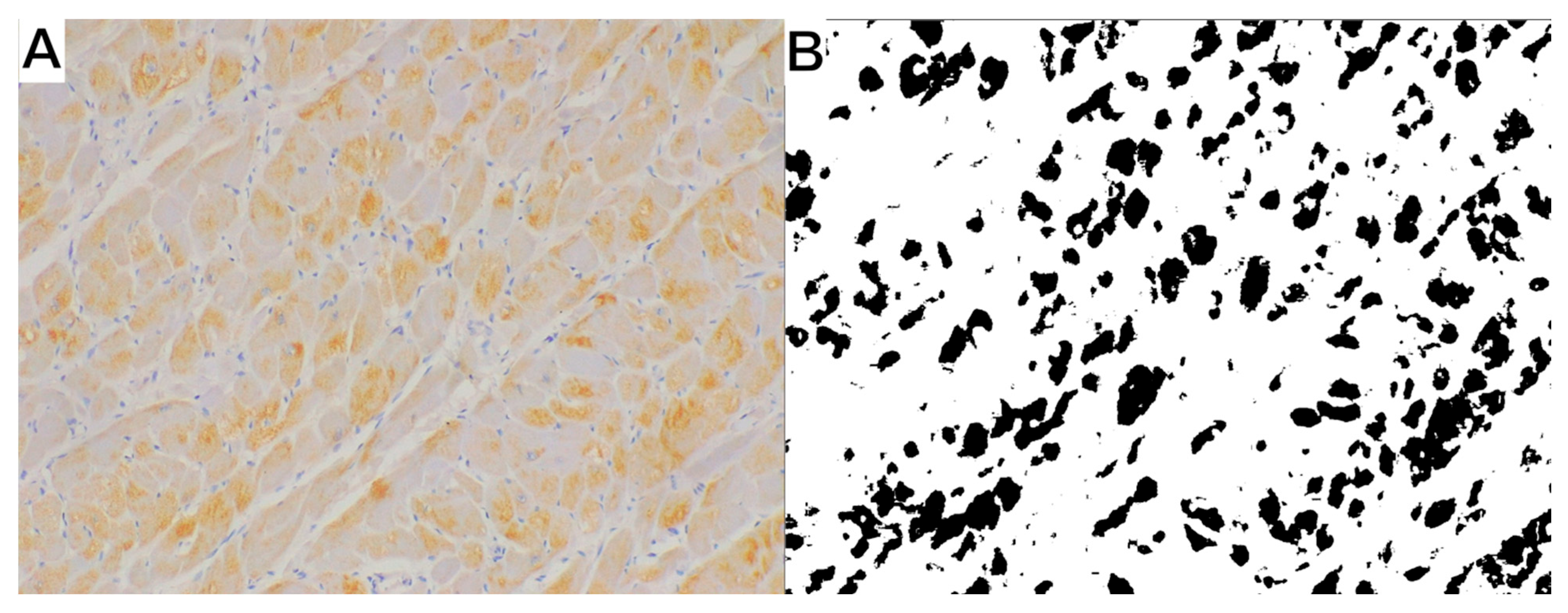 Animals 15 01719 g001