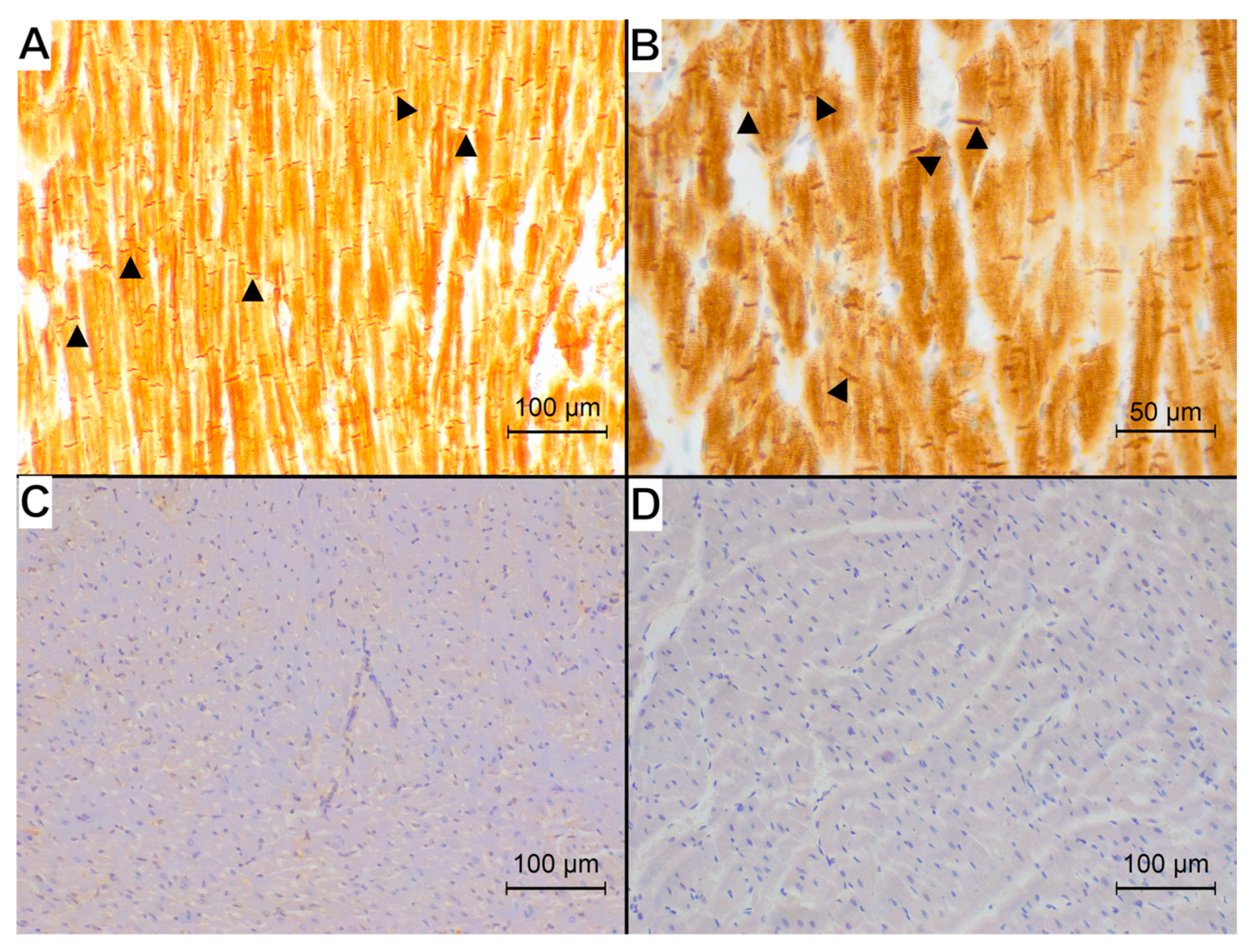 Animals 15 01719 g002