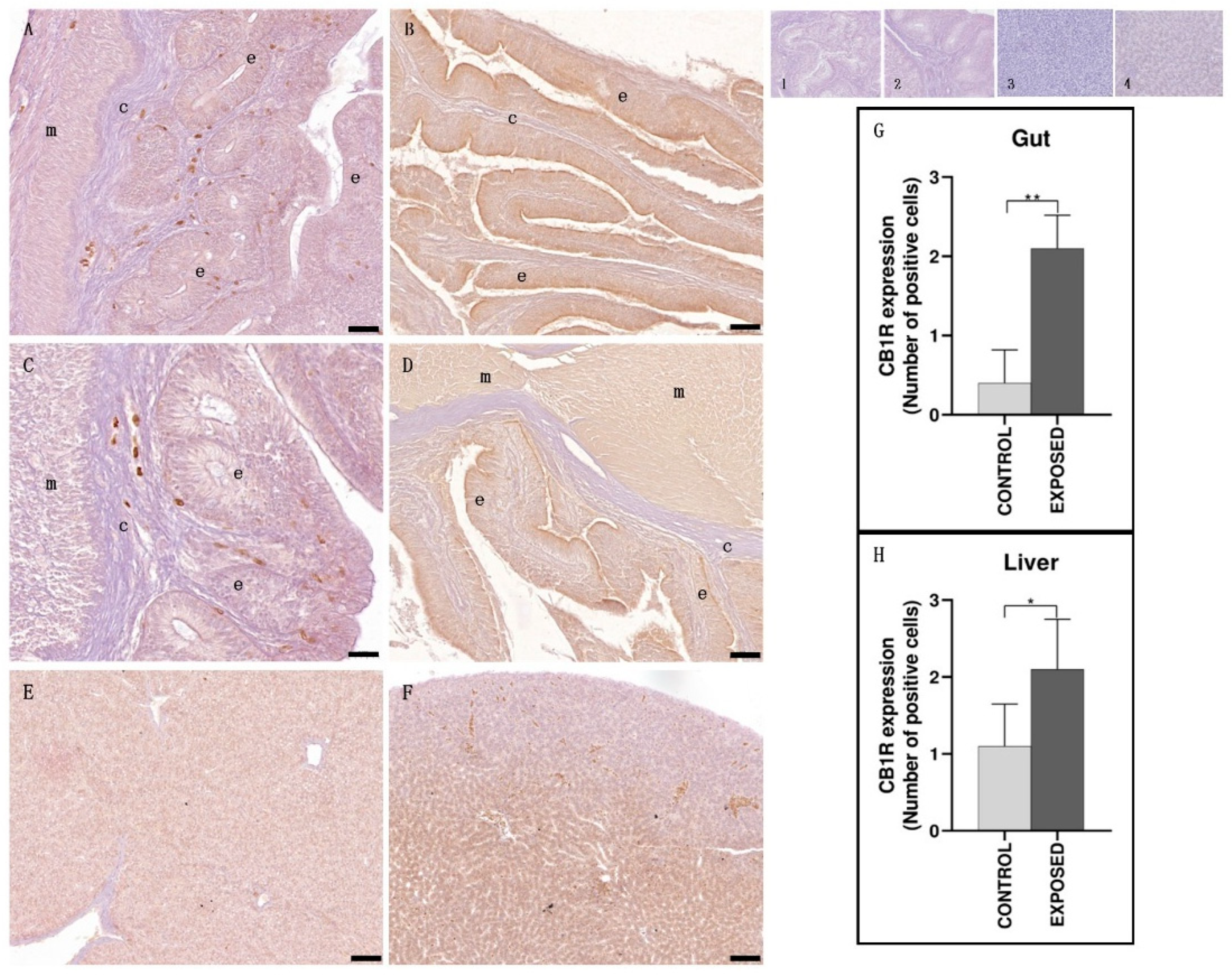 Animals 15 01734 g002