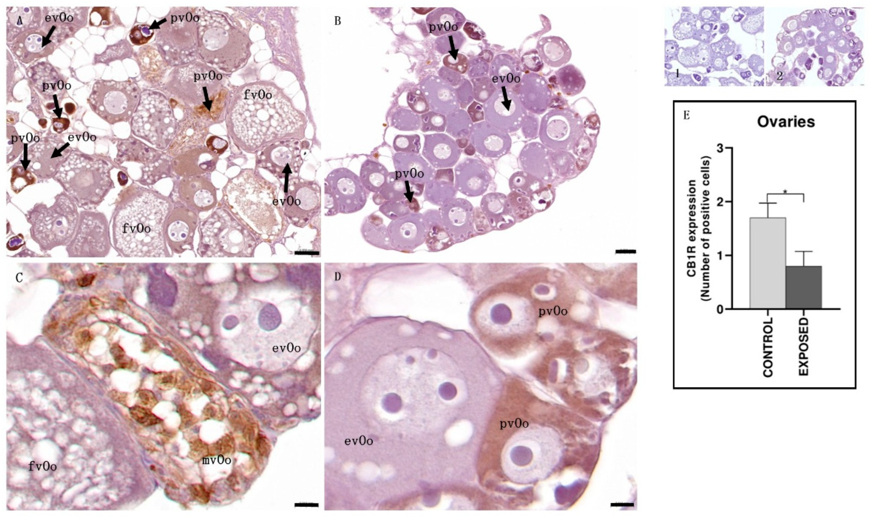 Animals 15 01734 g004