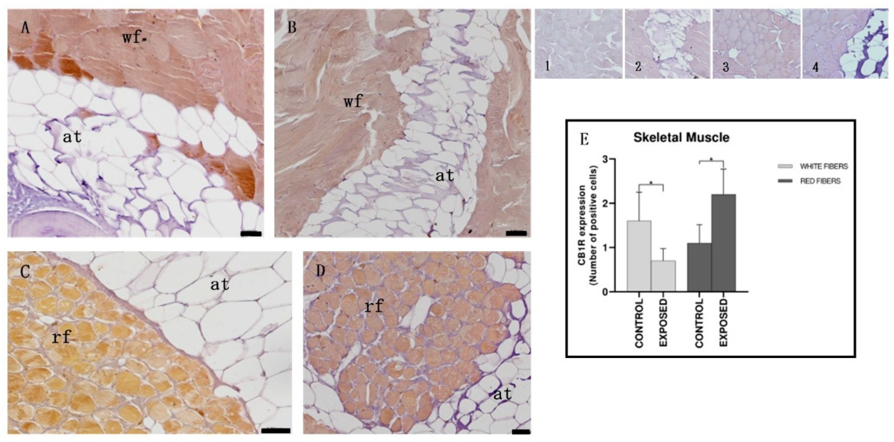 Animals 15 01734 g005