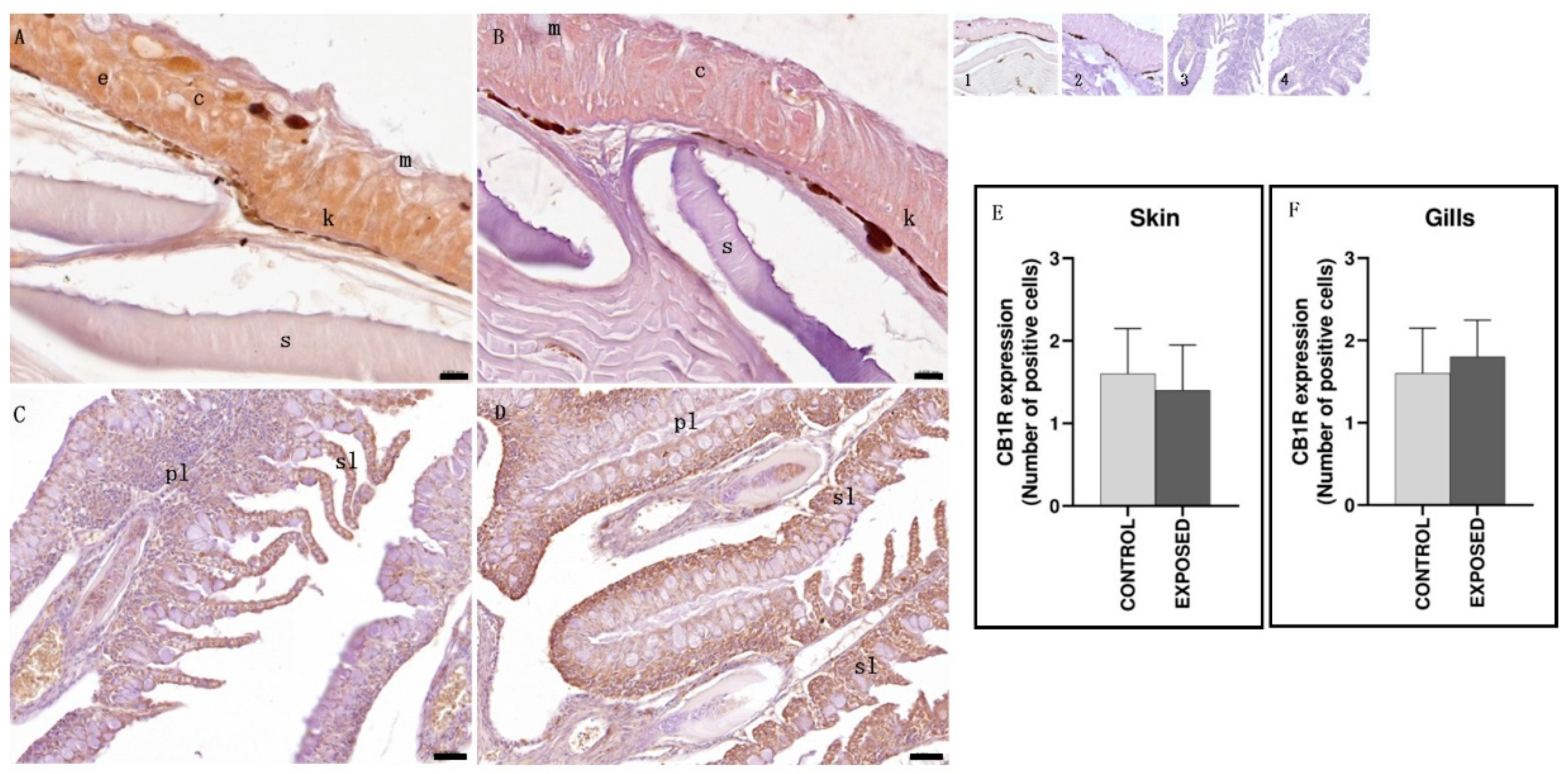 Animals 15 01734 g006