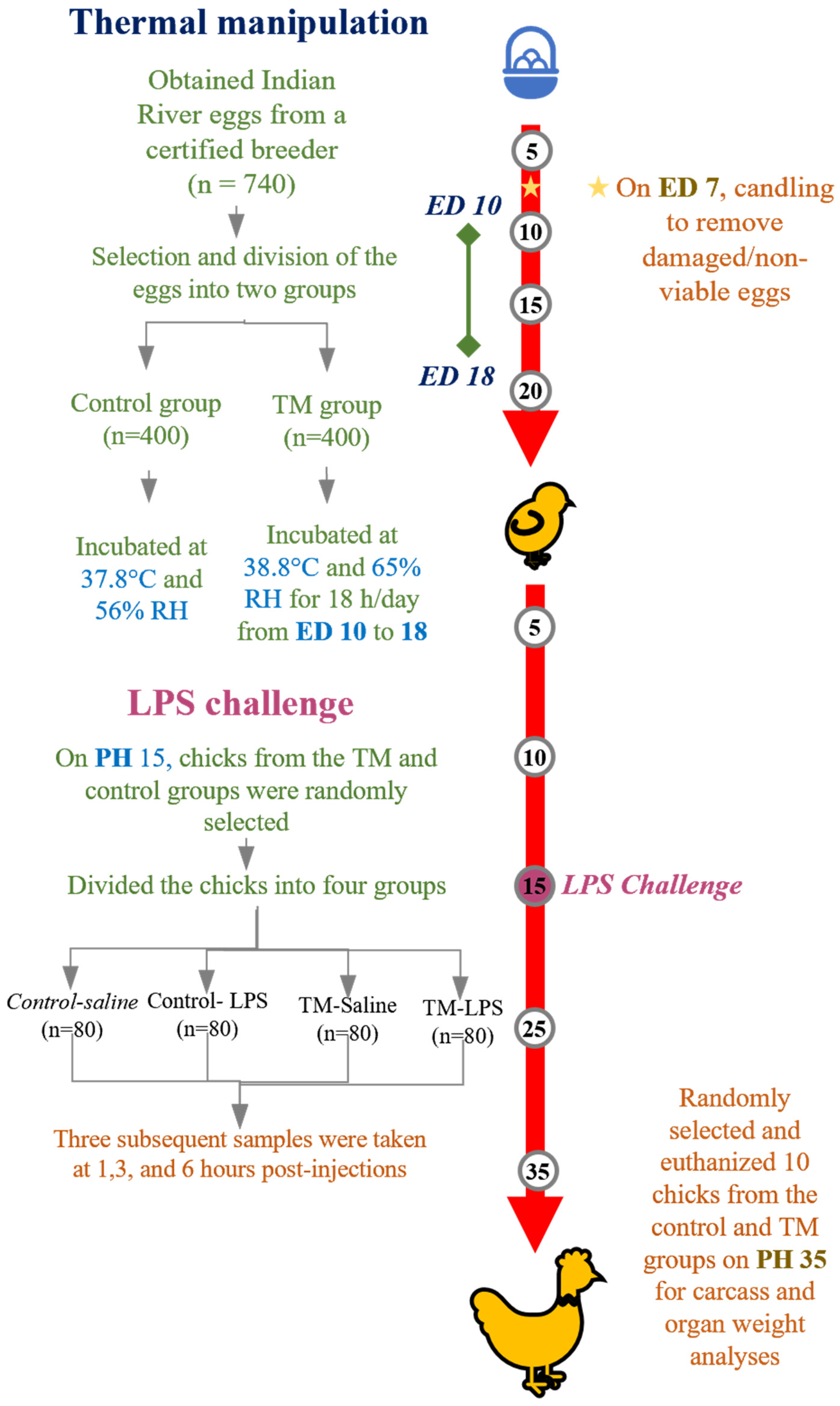 Animals 15 01736 g001 Animals 15 01736 g001