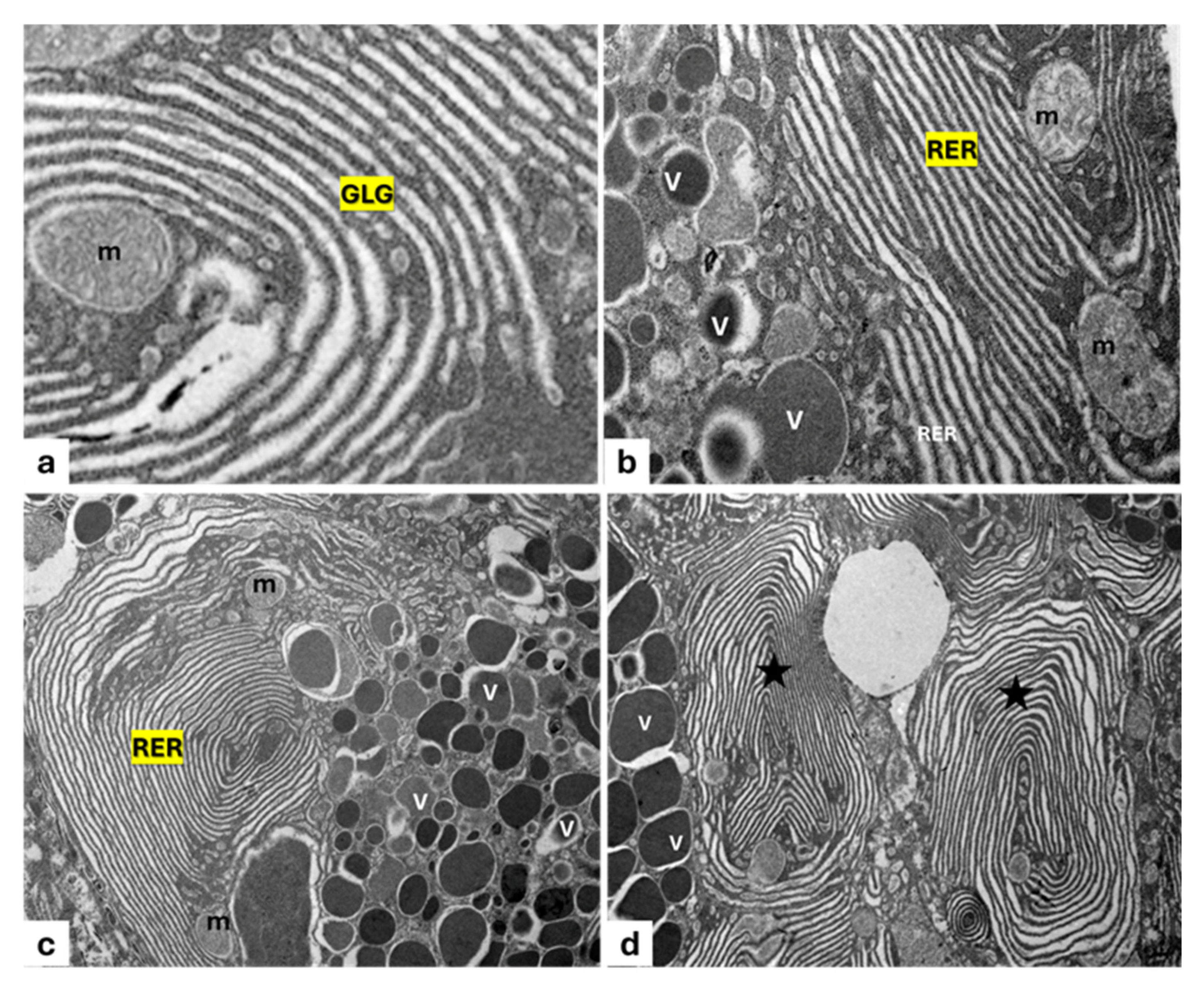 Animals 15 01738 g004