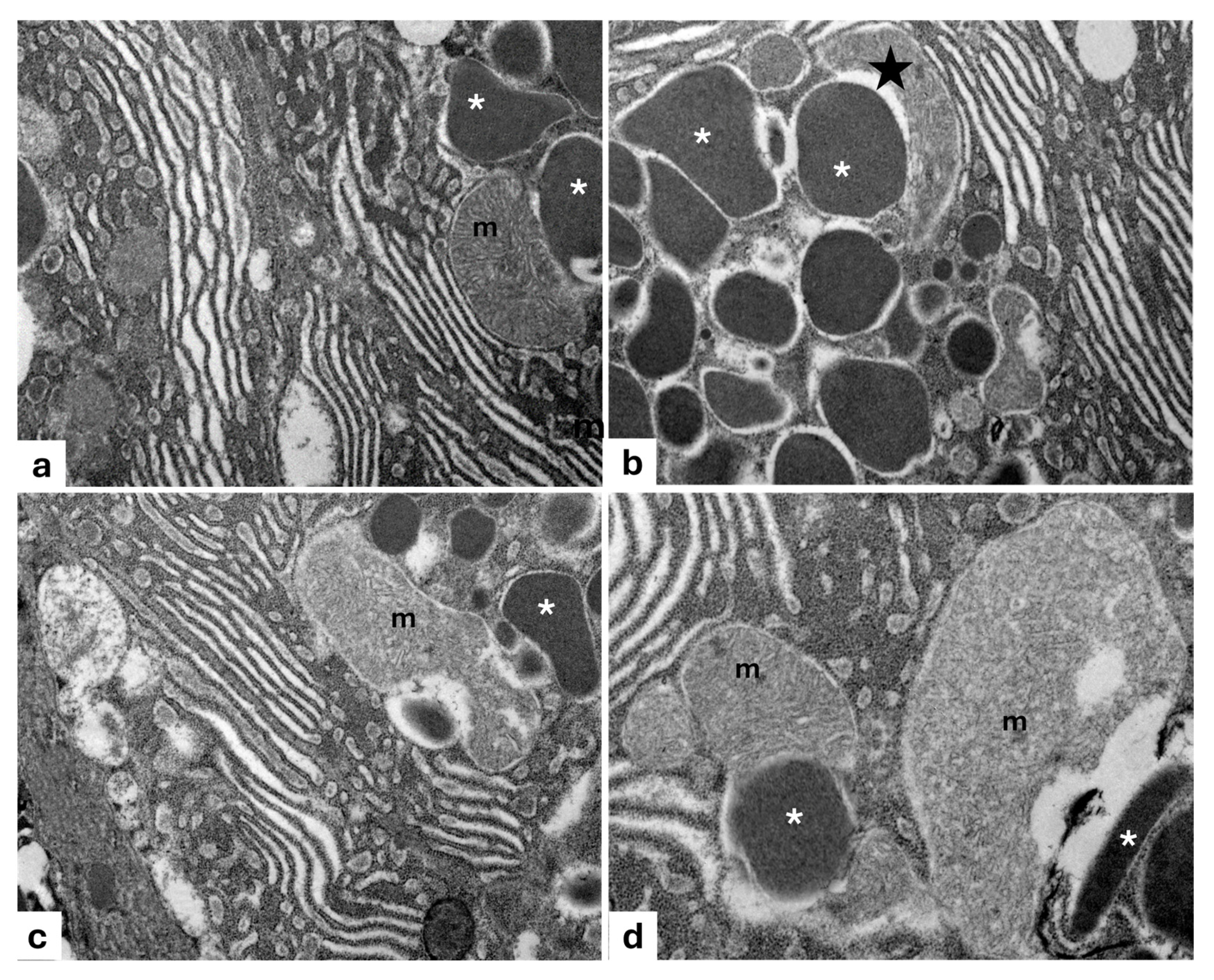 Animals 15 01738 g005