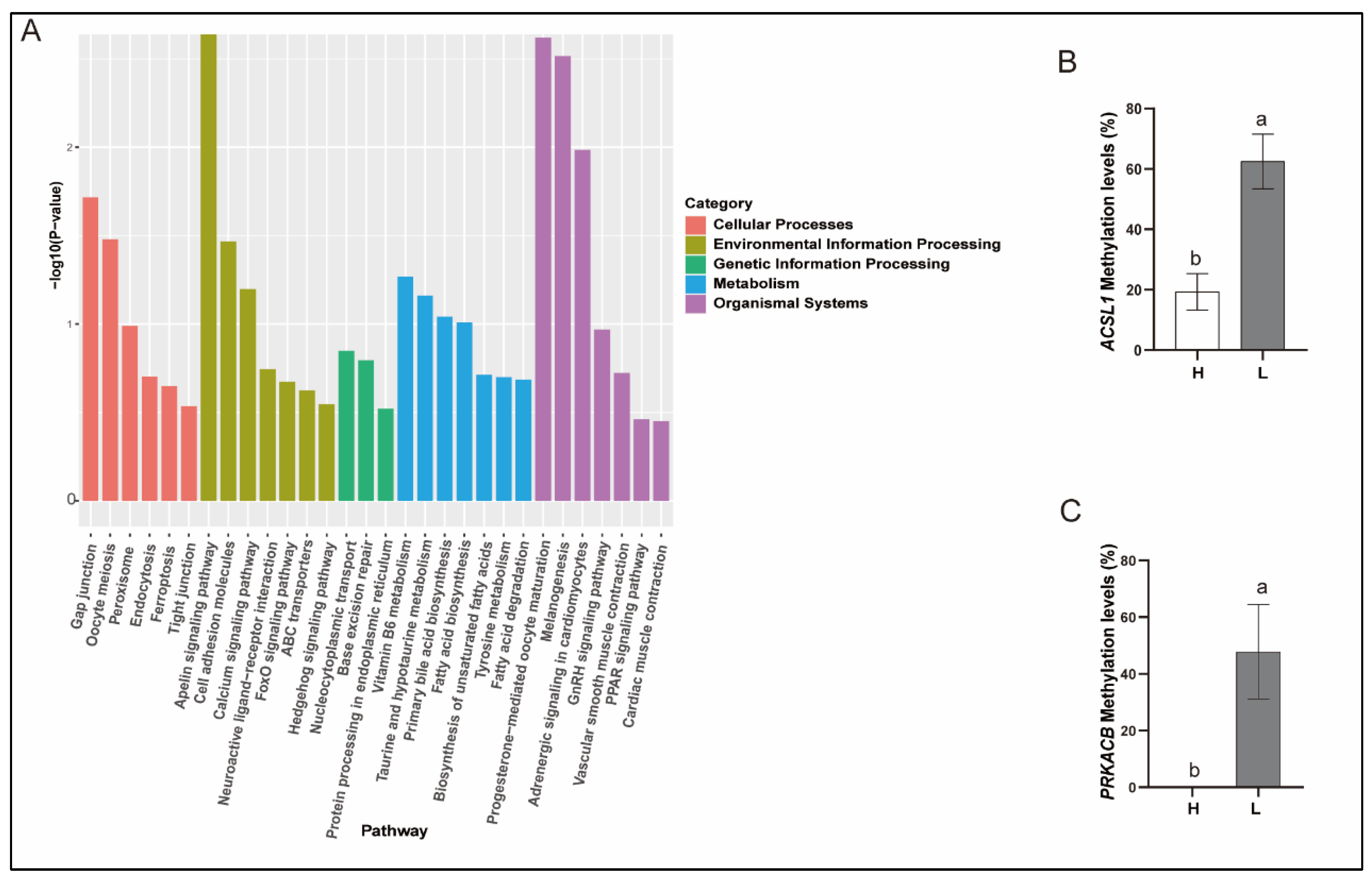 Animals 15 01745 g003