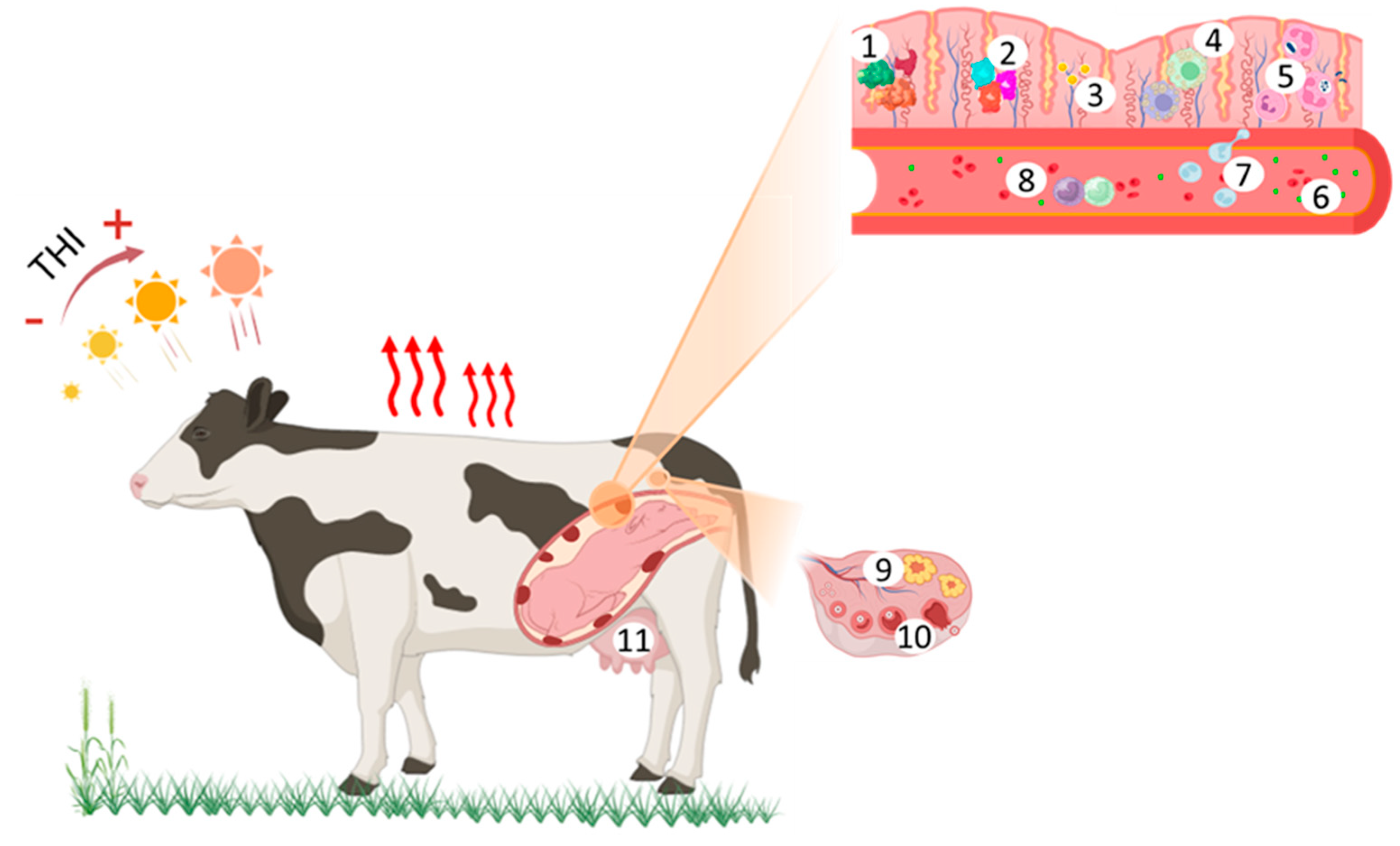 Animals 15 01747 g001