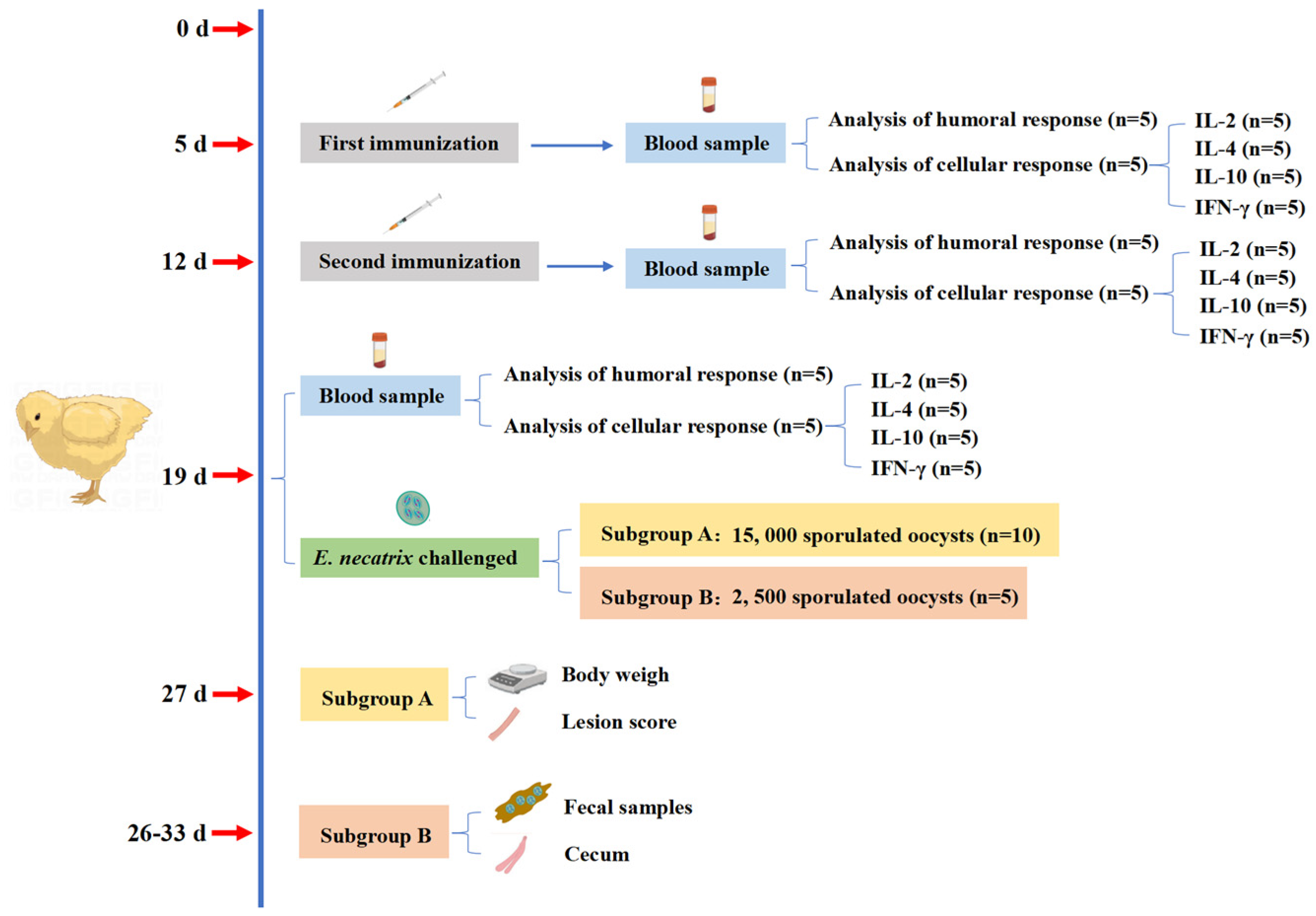 Animals 15 01750 g001