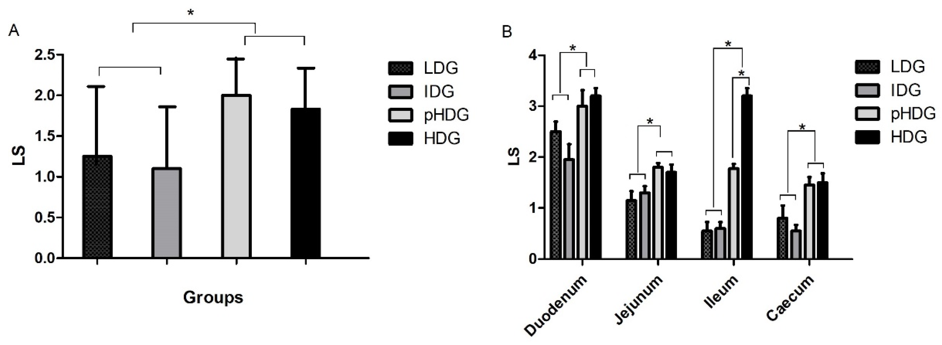 Animals 15 01752 g001